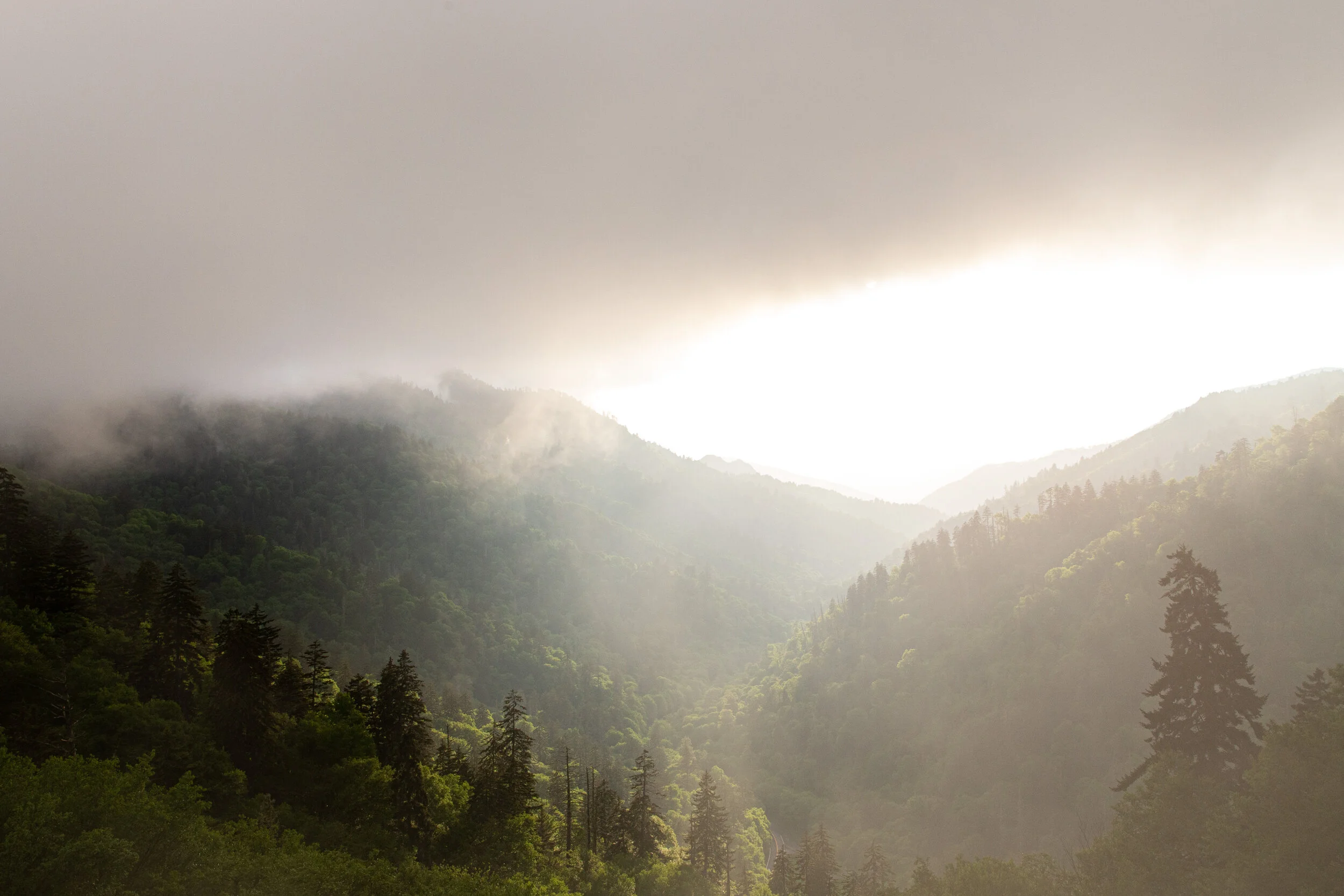 Great Smoky Mountains Photography-30.jpg