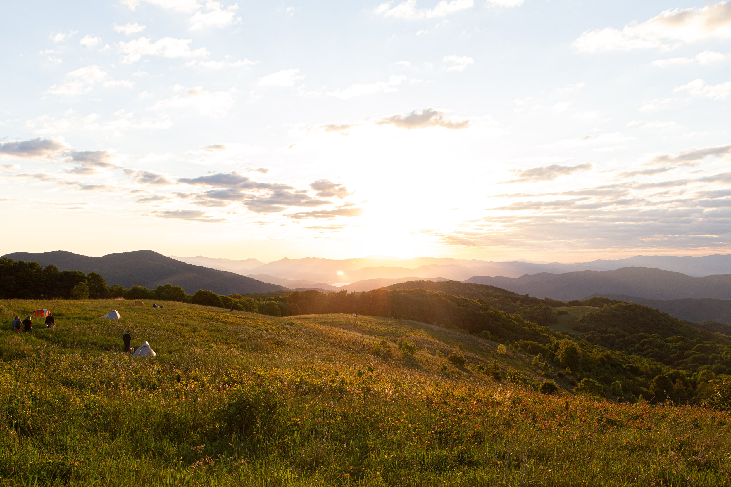Max's Patch North Carolina Photography-46.jpg