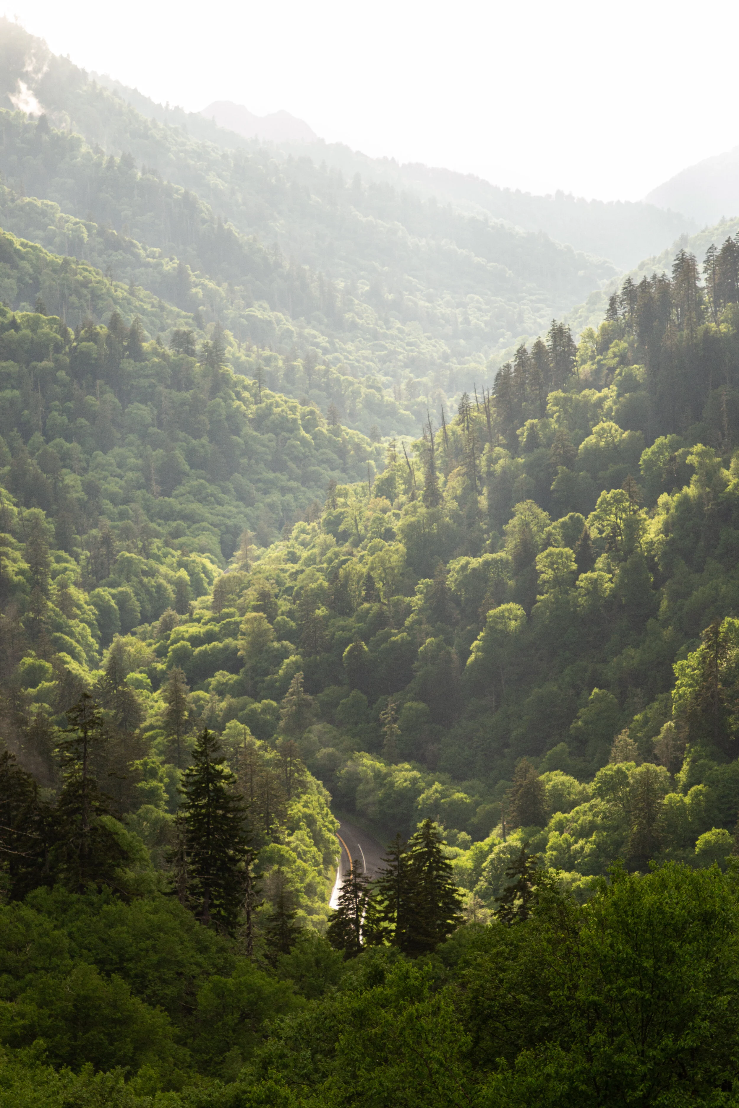 Great Smoky Mountains Photography-17.jpg