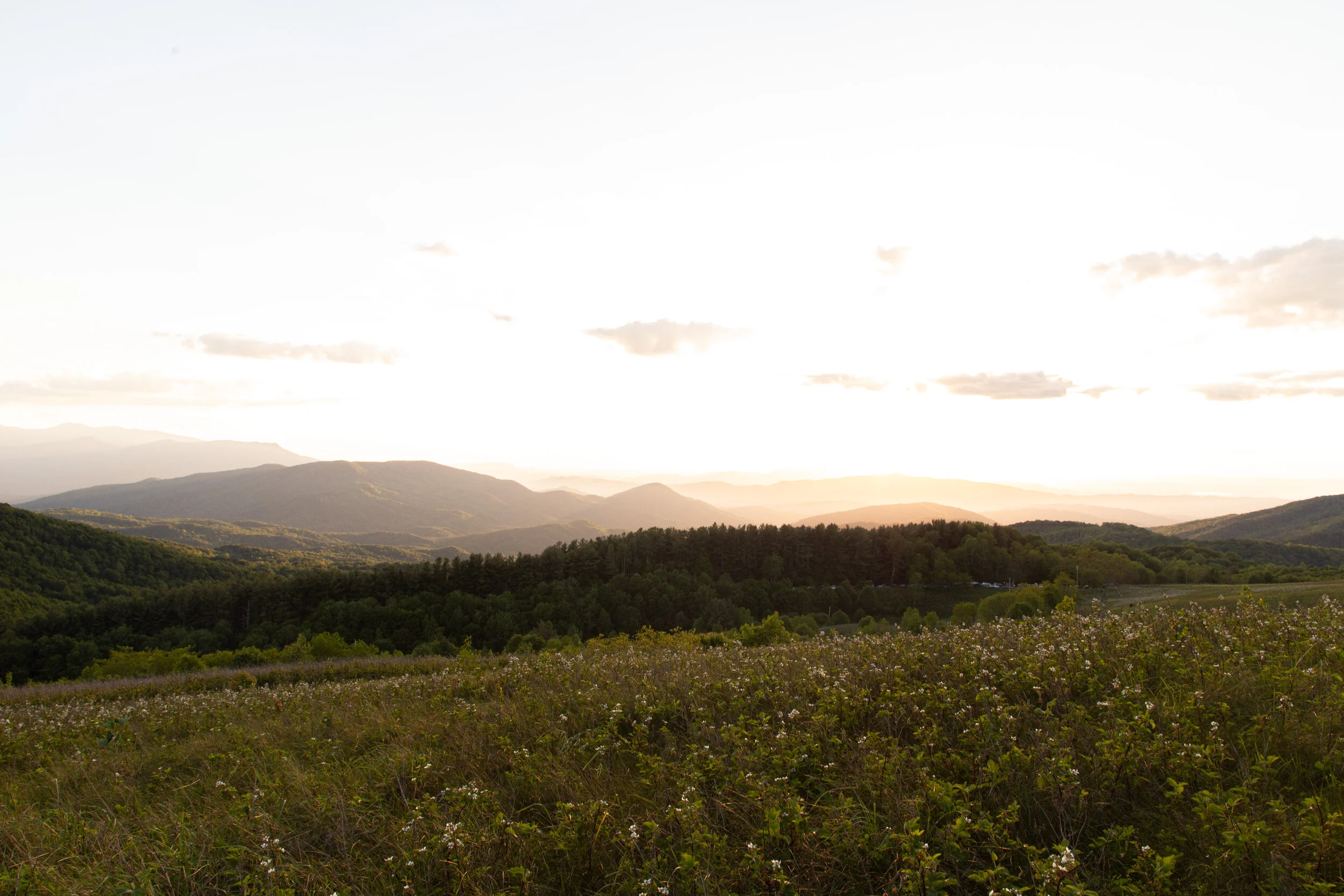 Max's Patch North Carolina Photography-11.jpg