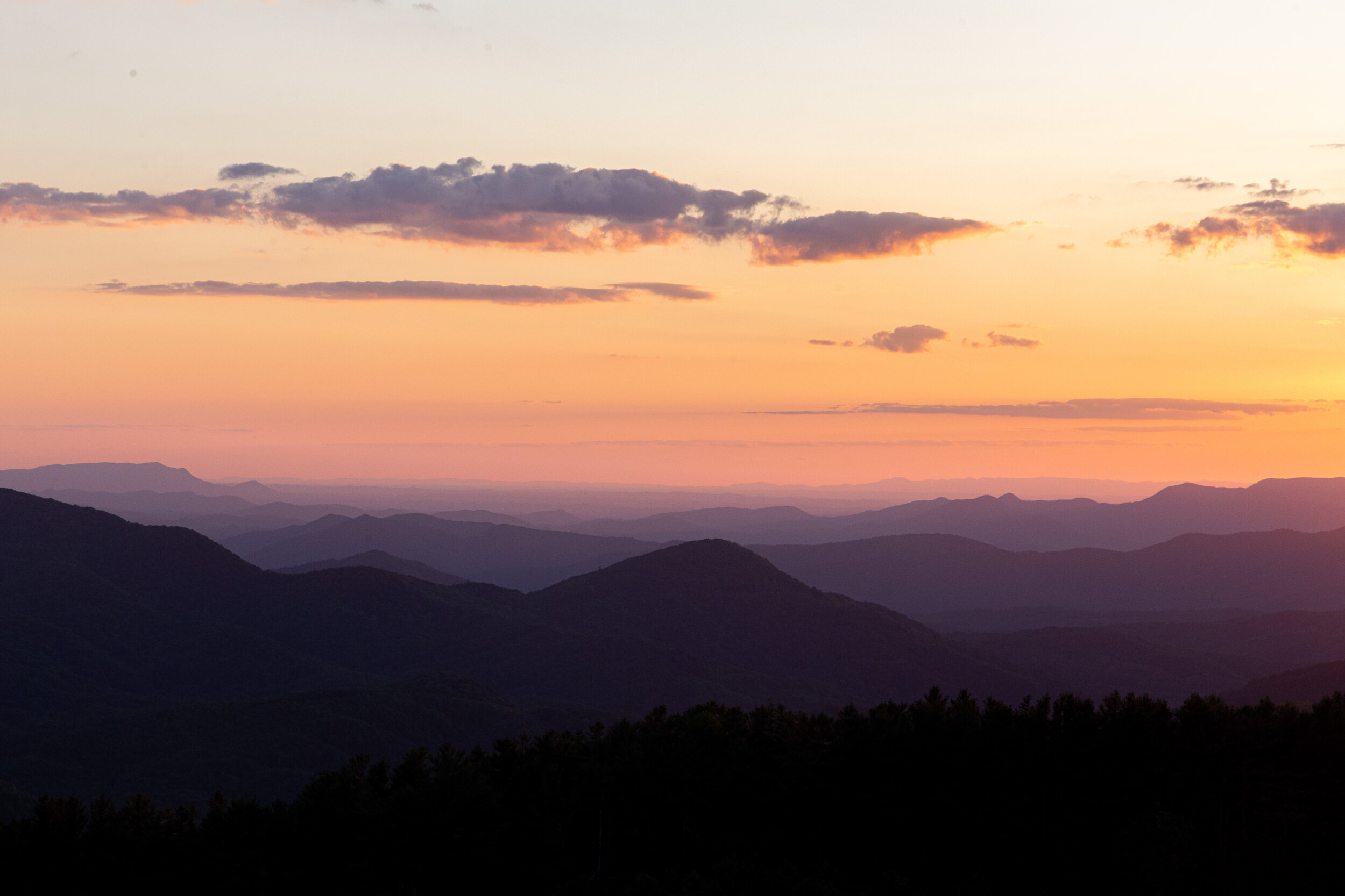 Max's Patch North Carolina Photography-20.jpg