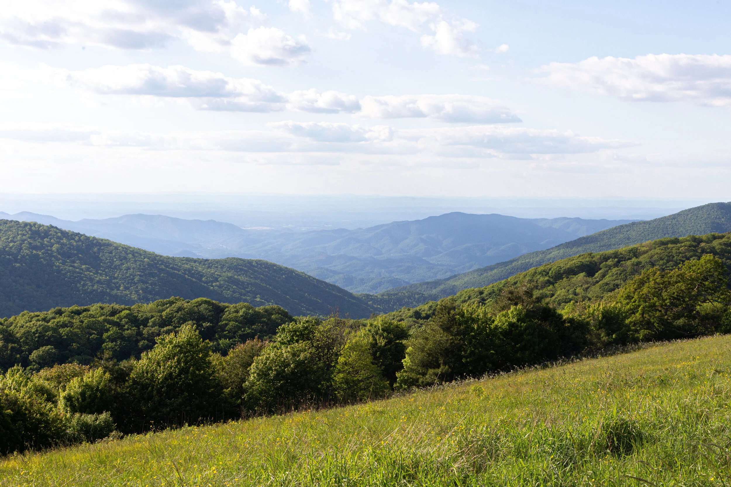 Max's Patch North Carolina Photography-1.jpg