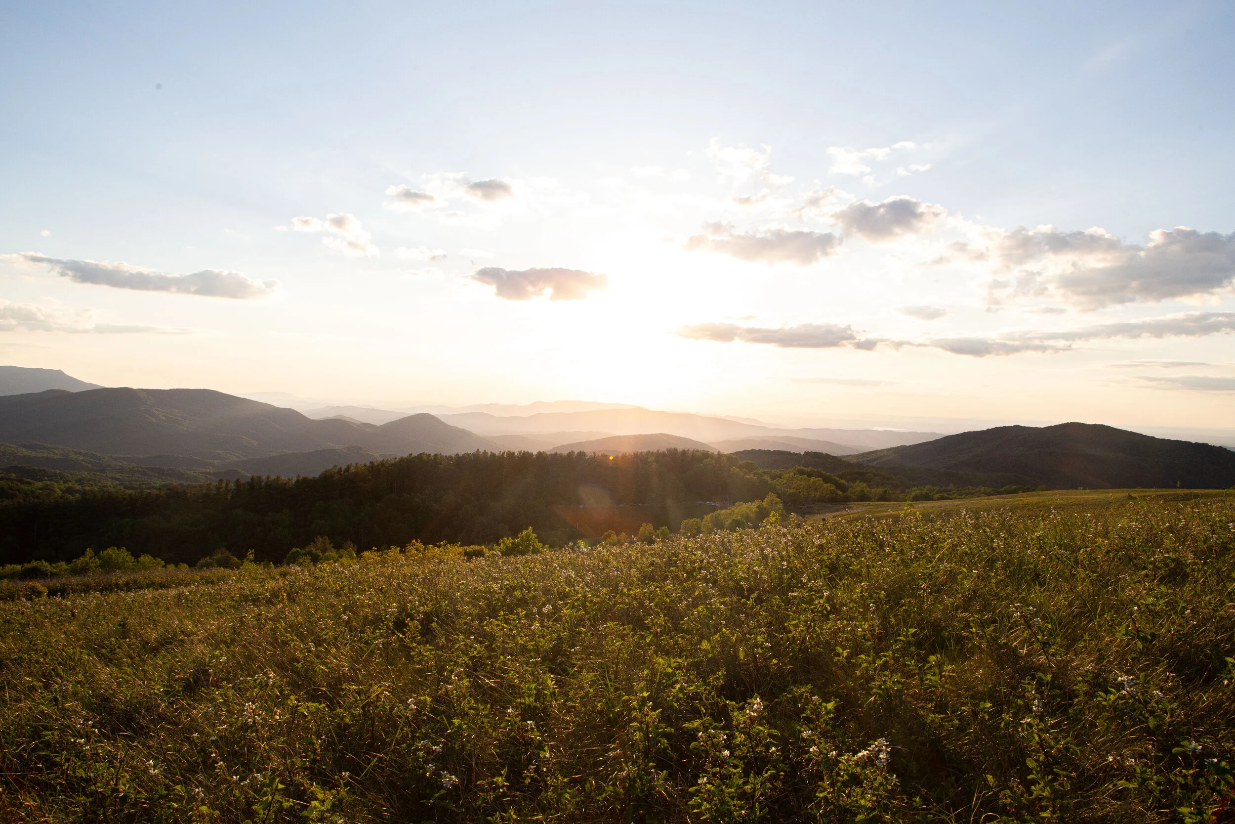 Max's Patch North Carolina Photography-9.jpg