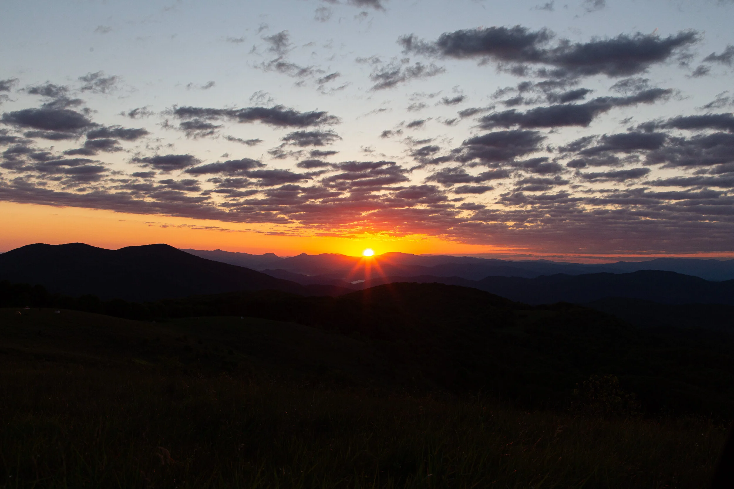 Max's Patch North Carolina Photography-36.jpg