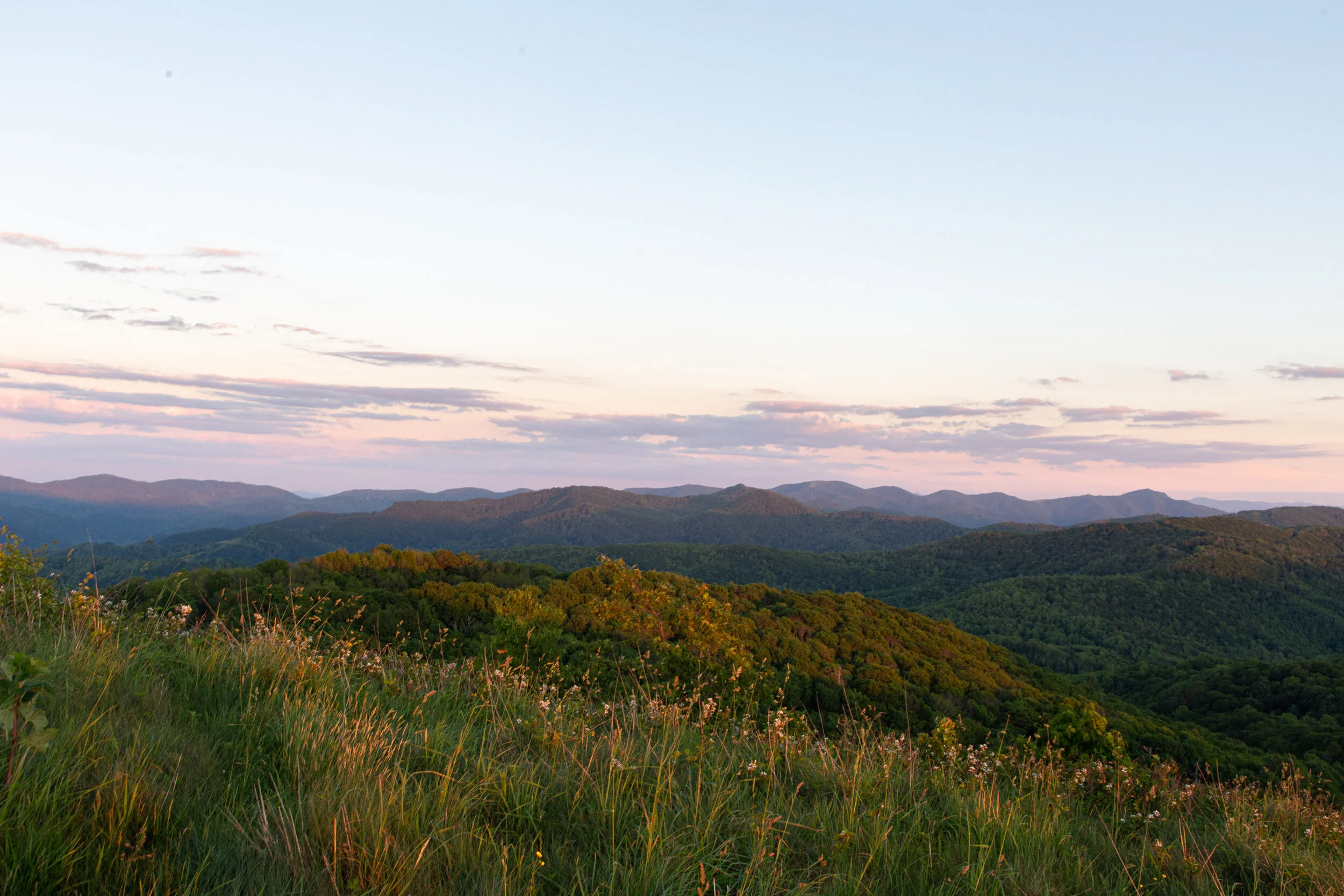 Max's Patch North Carolina Photography-18.jpg