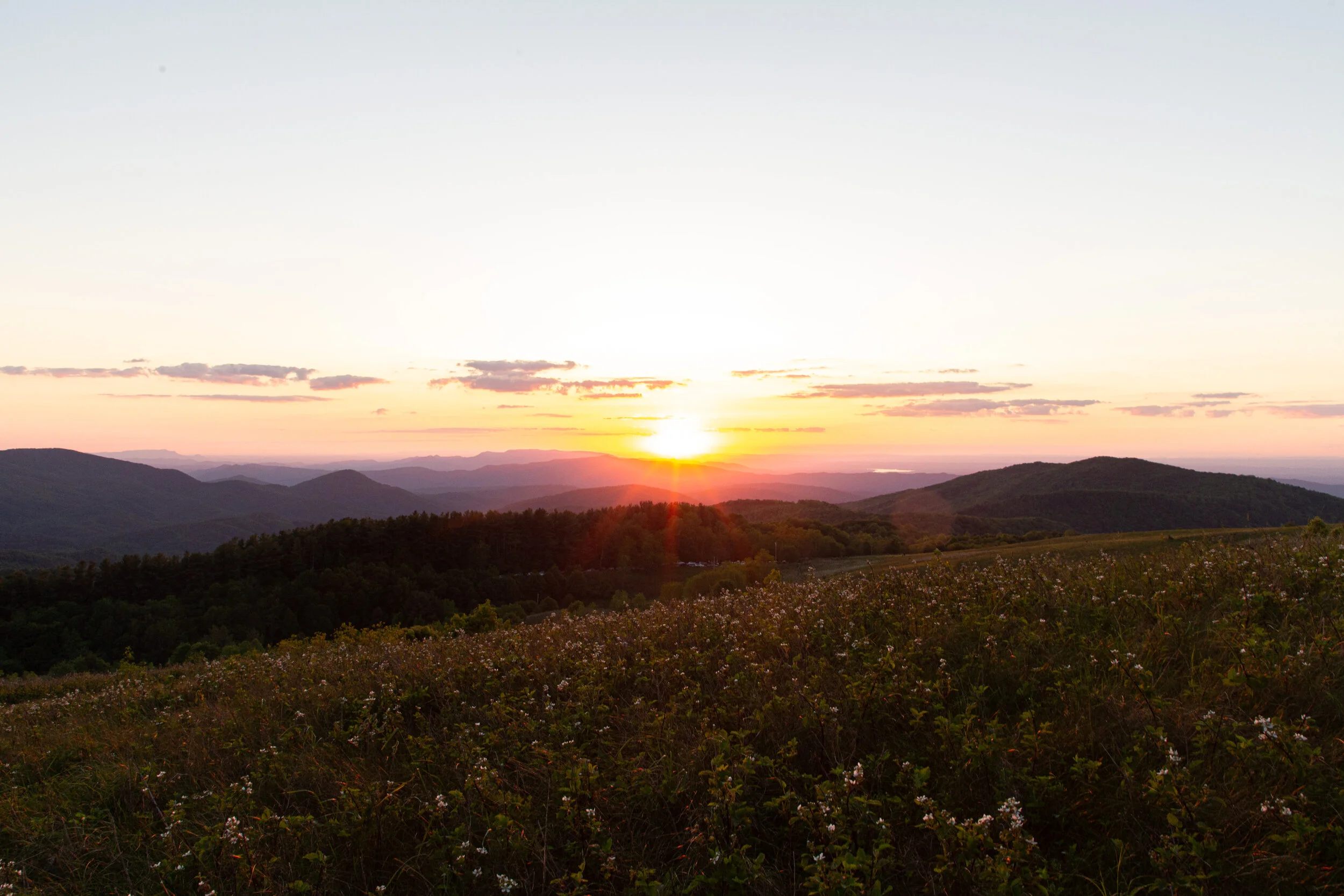 Max's Patch North Carolina Photography-24.jpg