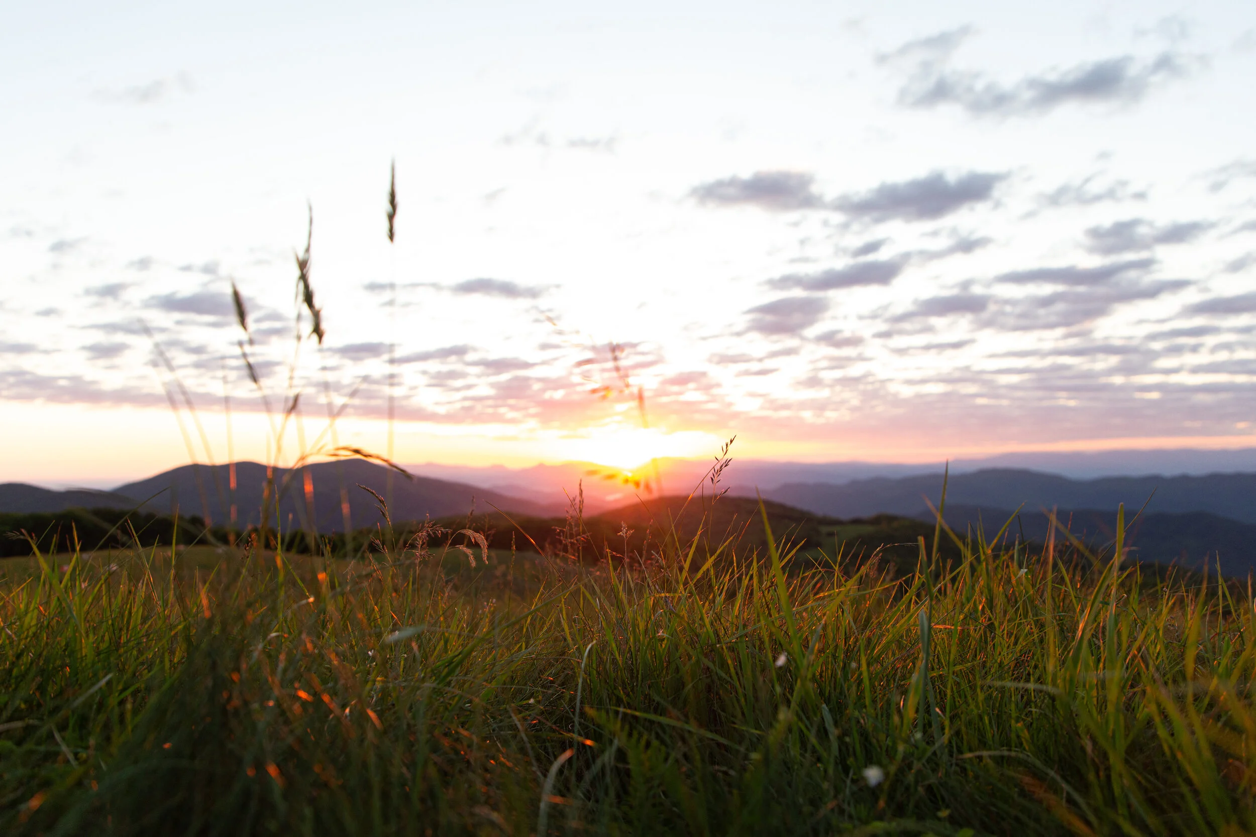 Max's Patch North Carolina Photography-38.jpg