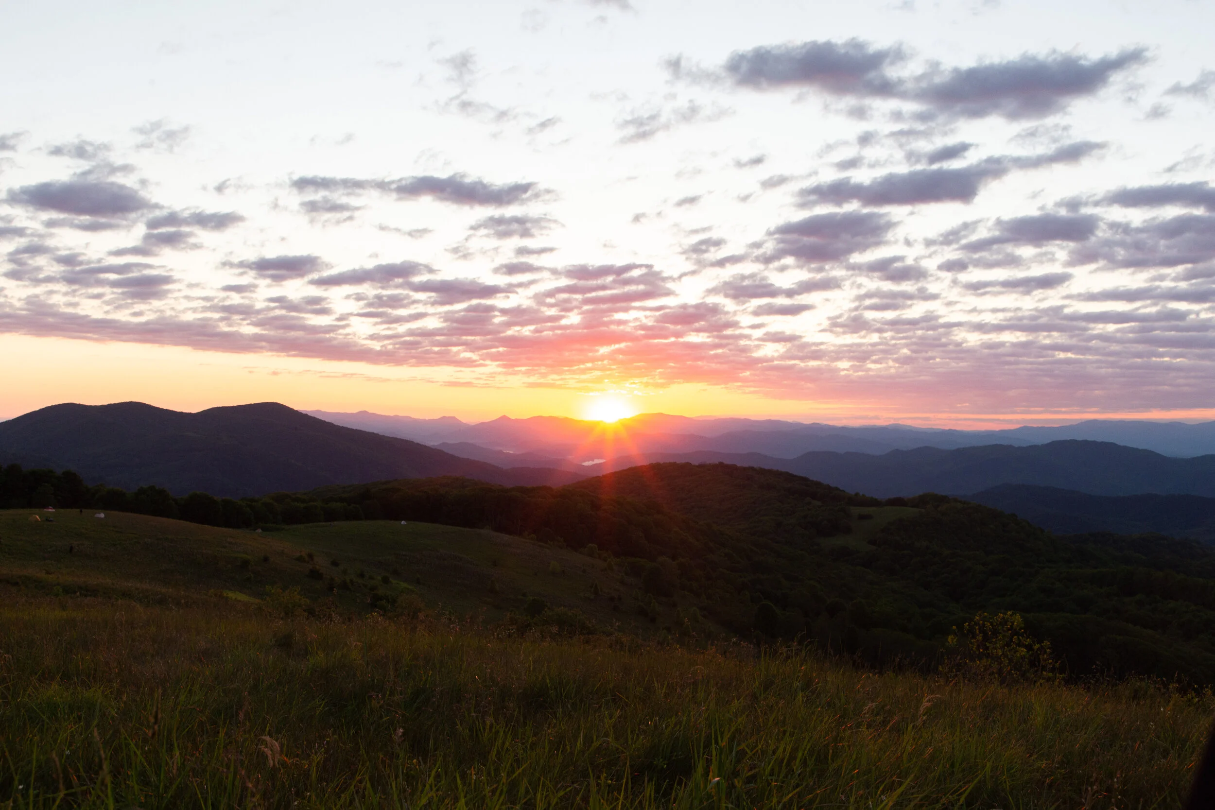 Max's Patch North Carolina Photography-35.jpg