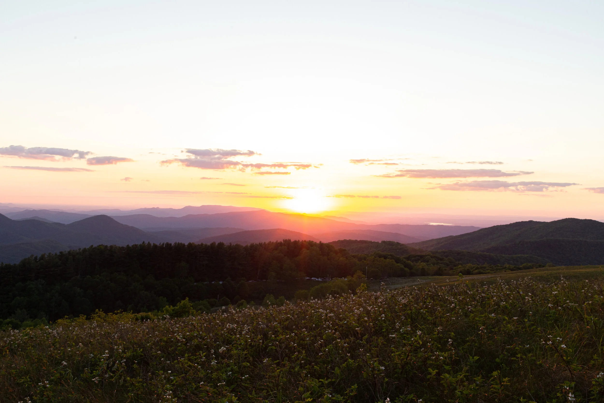 Max's Patch North Carolina Photography-23.jpg