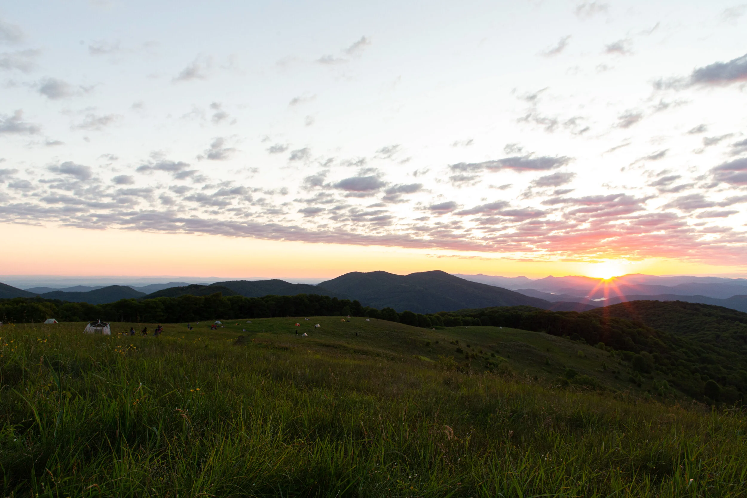 Max's Patch North Carolina Photography-33.jpg