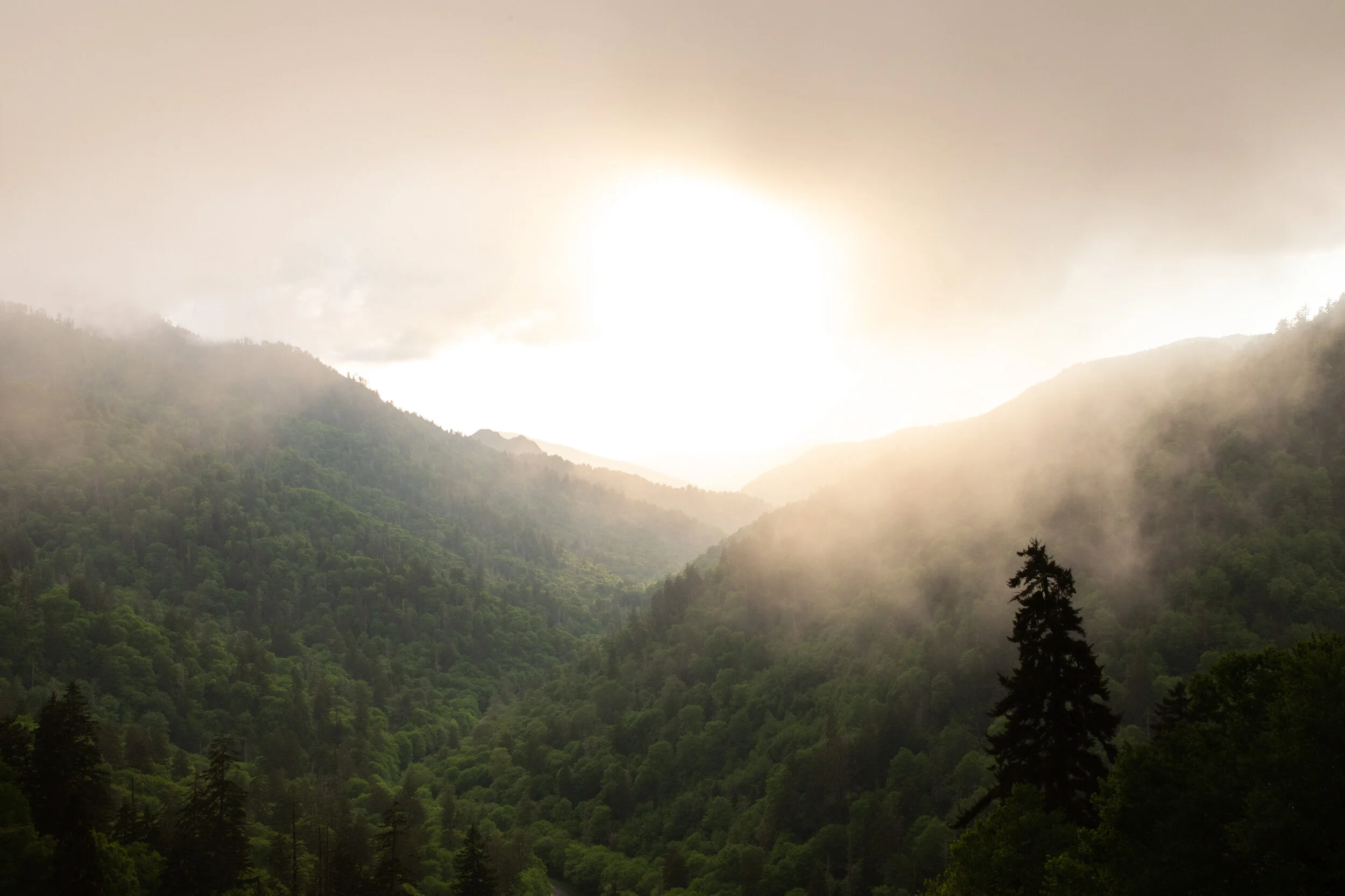 Great Smoky Mountains Photography-31.jpg