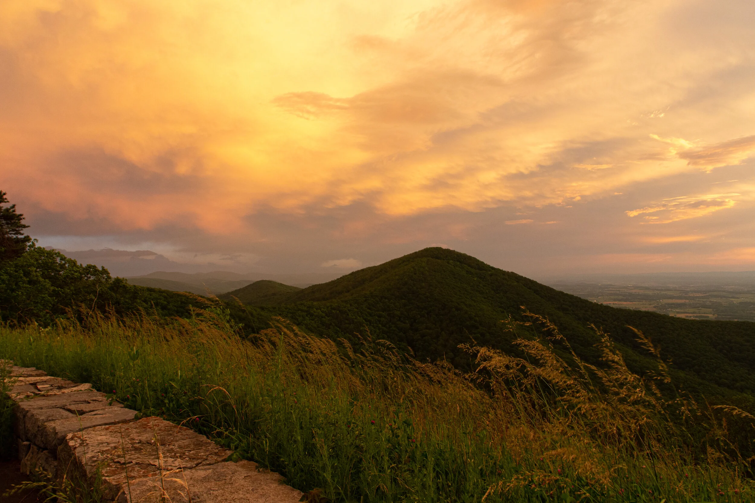 Shenandoah National Park - Virginia Photography-25.jpg