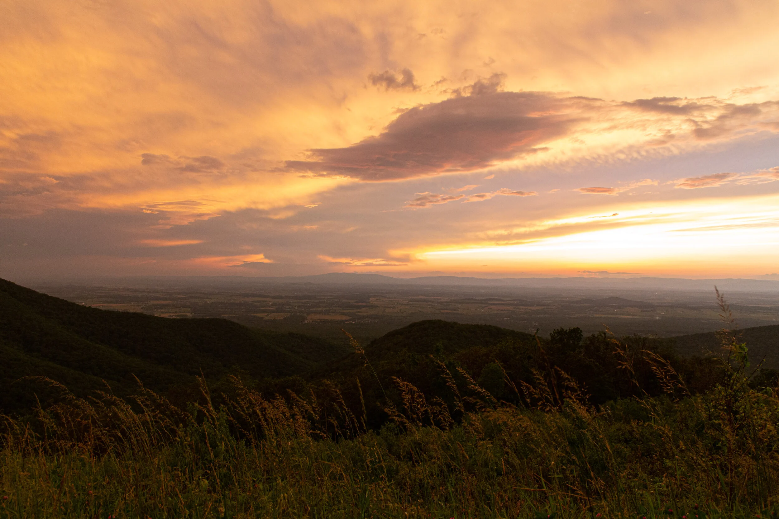 Shenandoah National Park - Virginia Photography-28.jpg