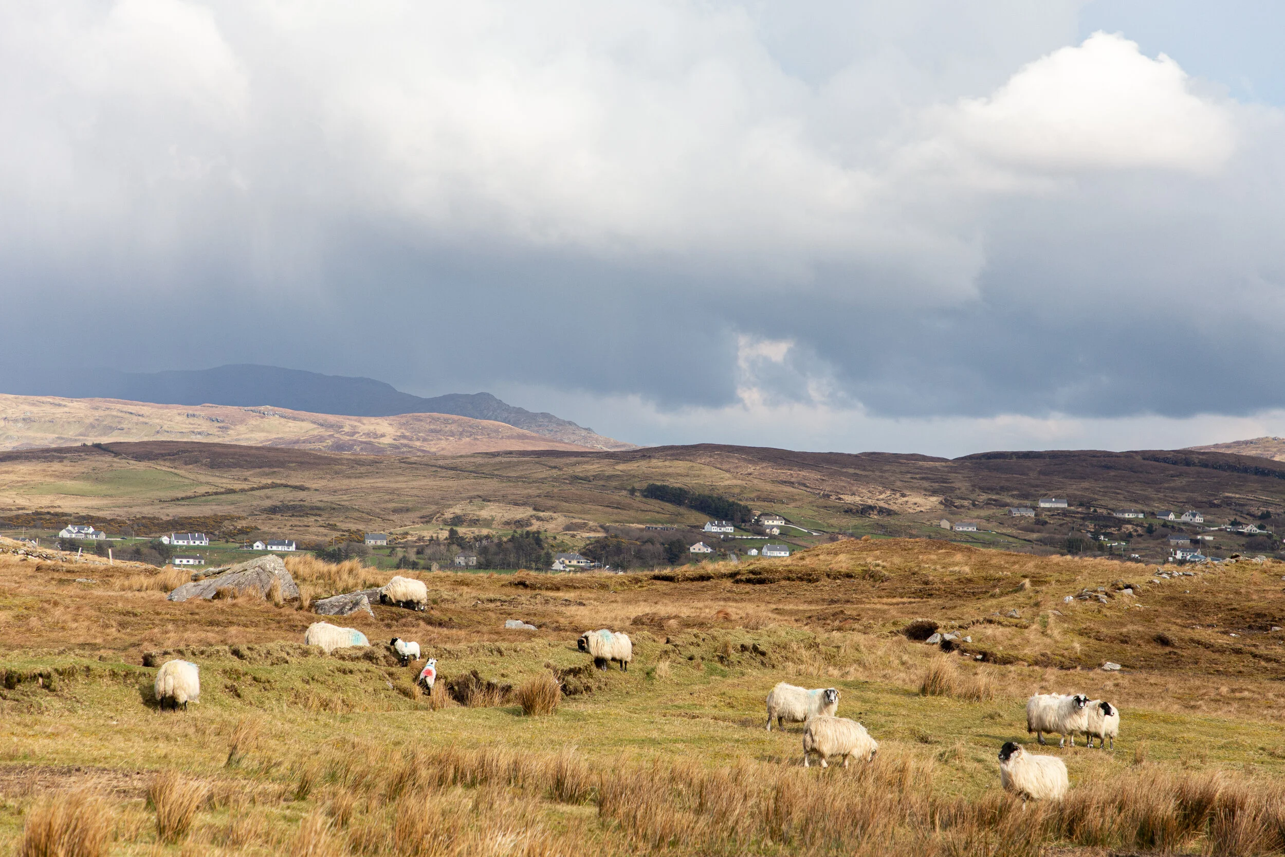 Ireland Day 6 - Travel Photography-8.jpg