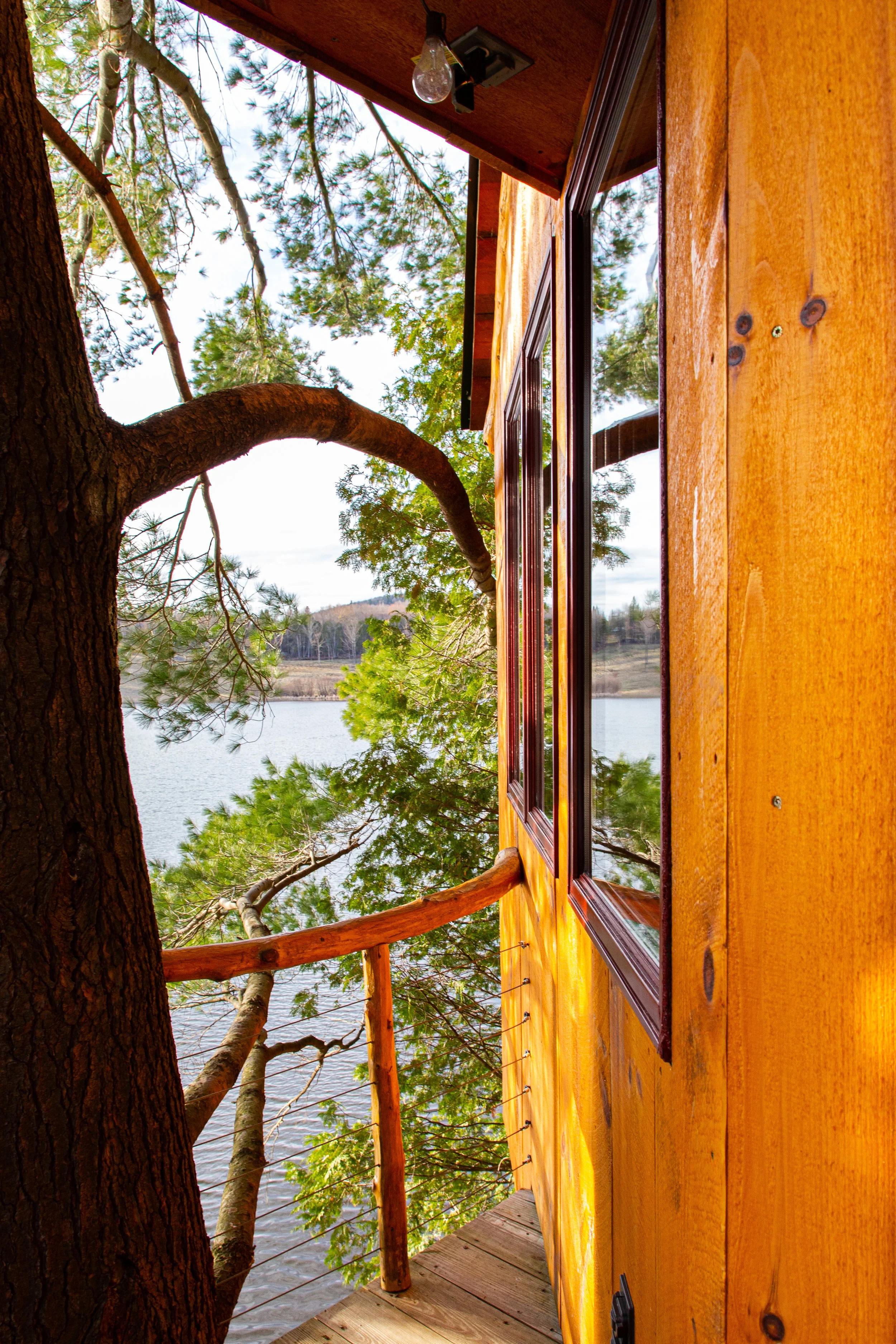 Vermont Tree Cabin Airbnb - Interior Architecture Photography -3.jpg
