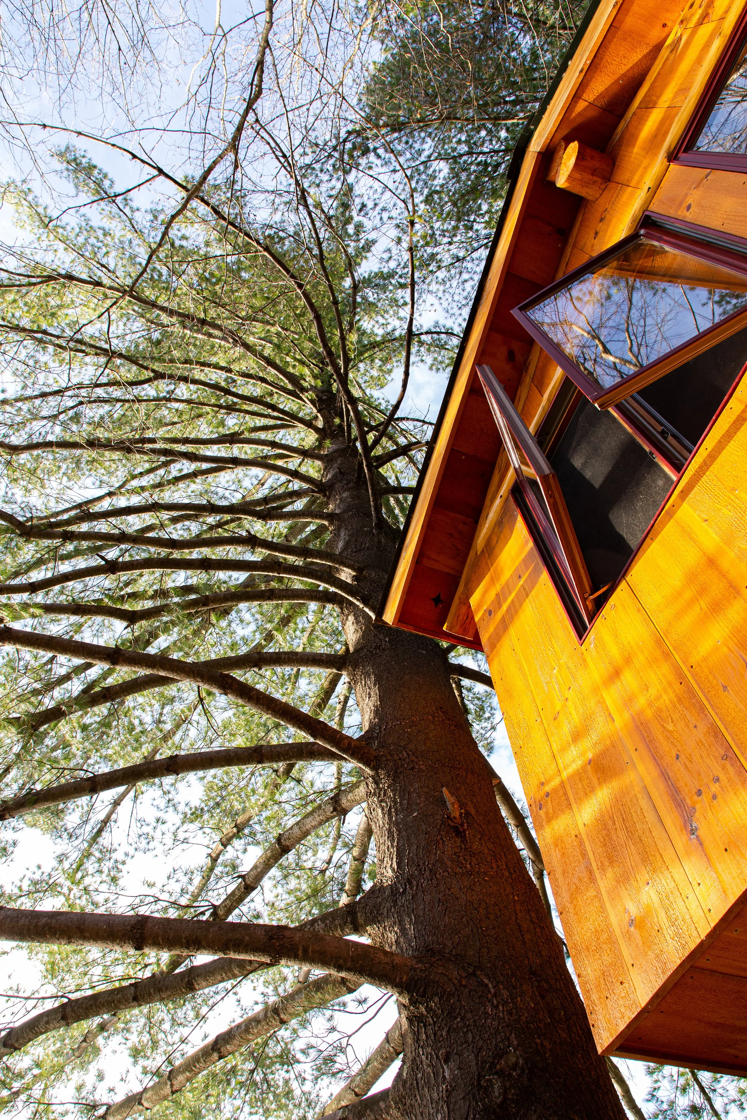 Vermont Tree Cabin Airbnb - Interior Architecture Photography -2.jpg