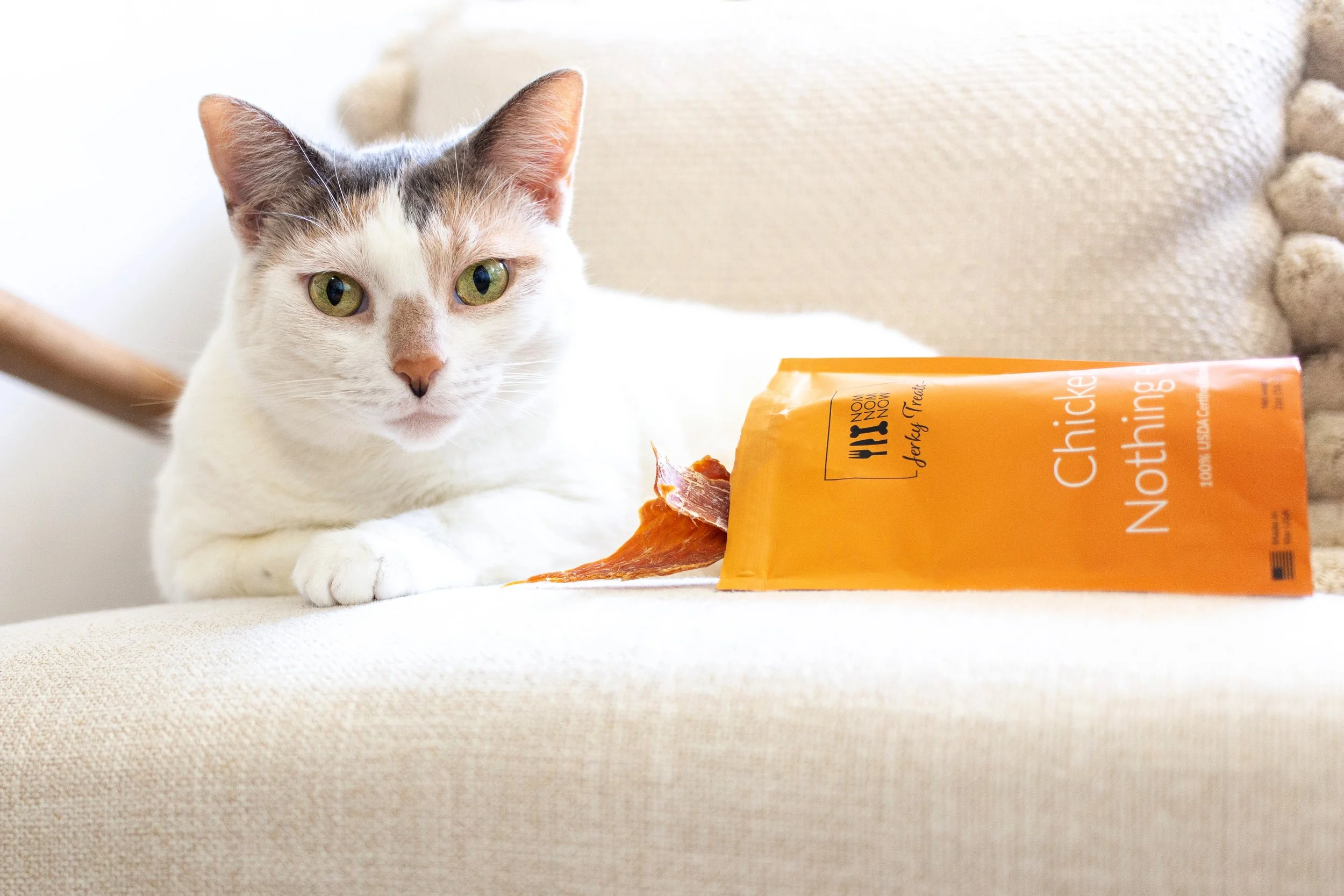 Nom Nom Now - Product Photography-3.jpg