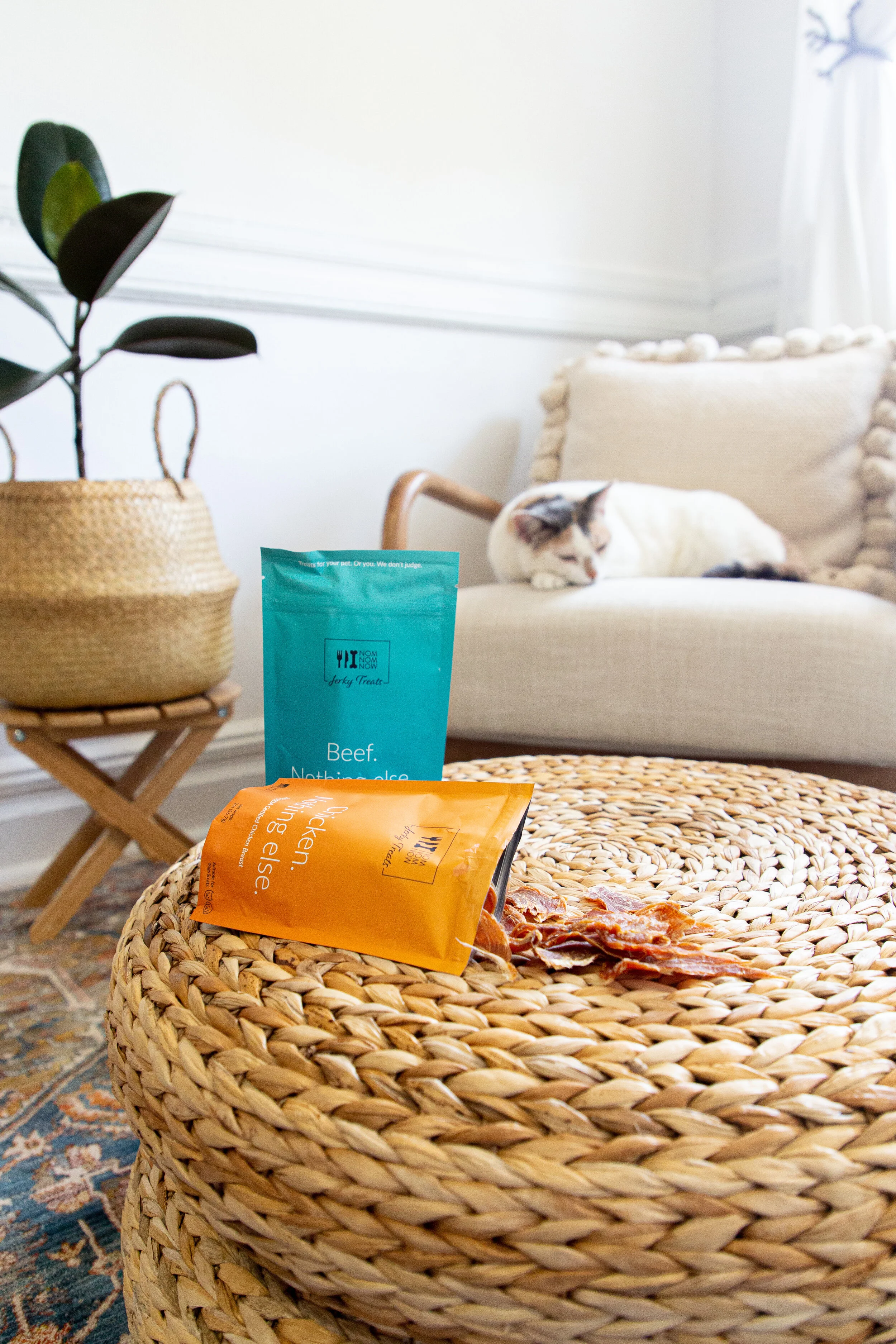 Nom Nom Now - Product Photography-1.jpg