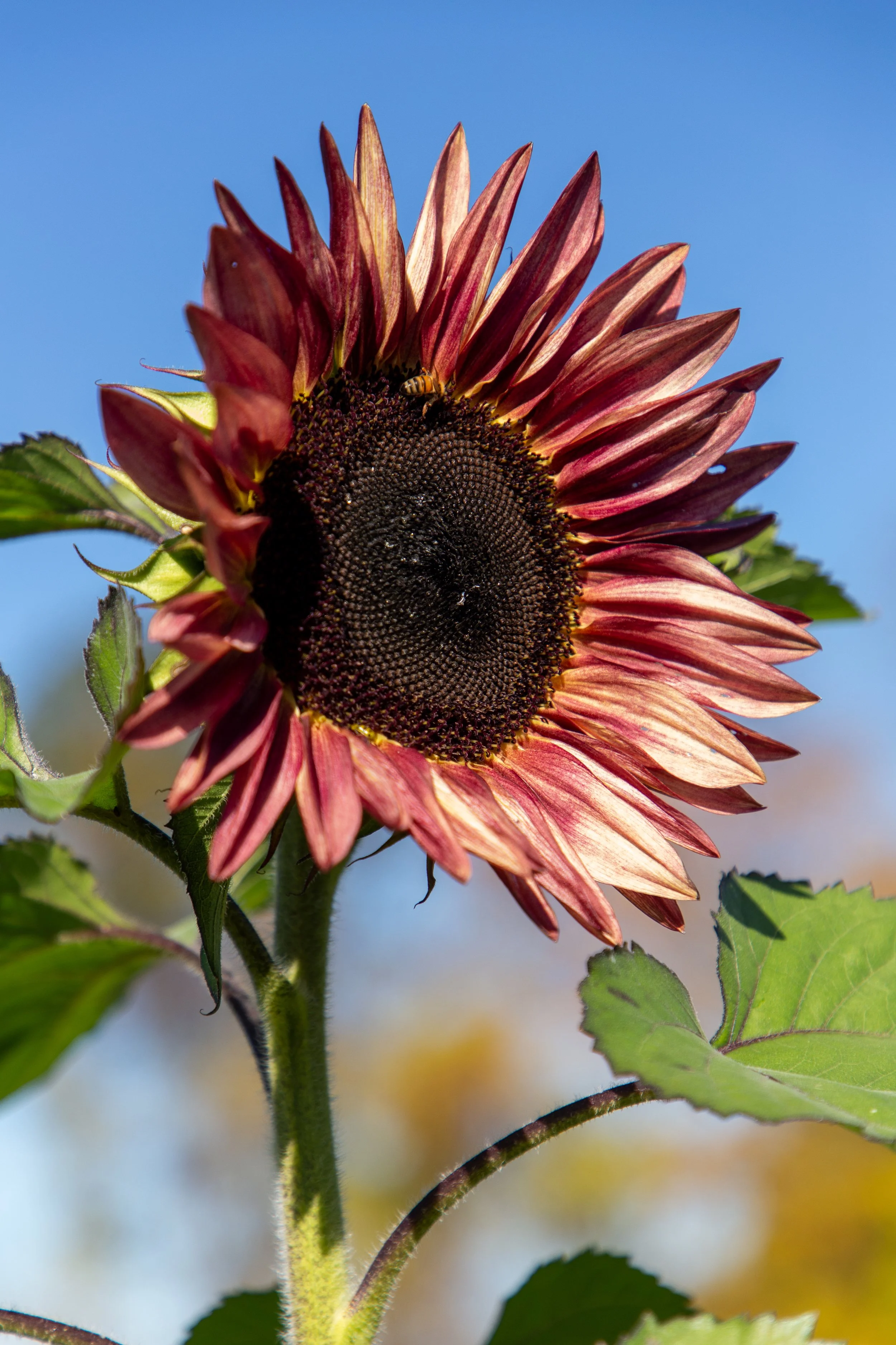 Riamede Farm - New Jersey - Nature Photography-1.jpg