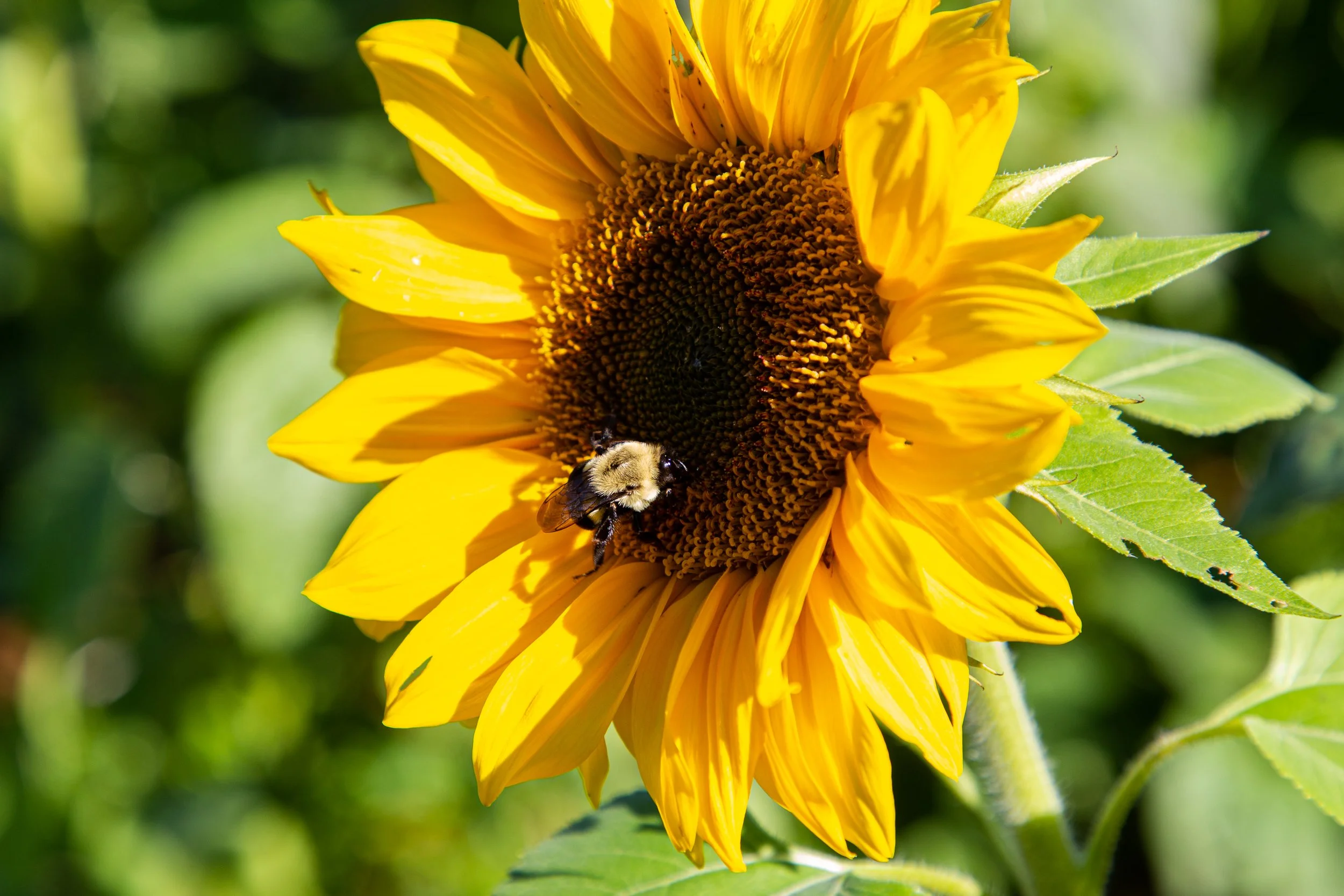 Riamede Farm - New Jersey - Nature Photography-4.jpg