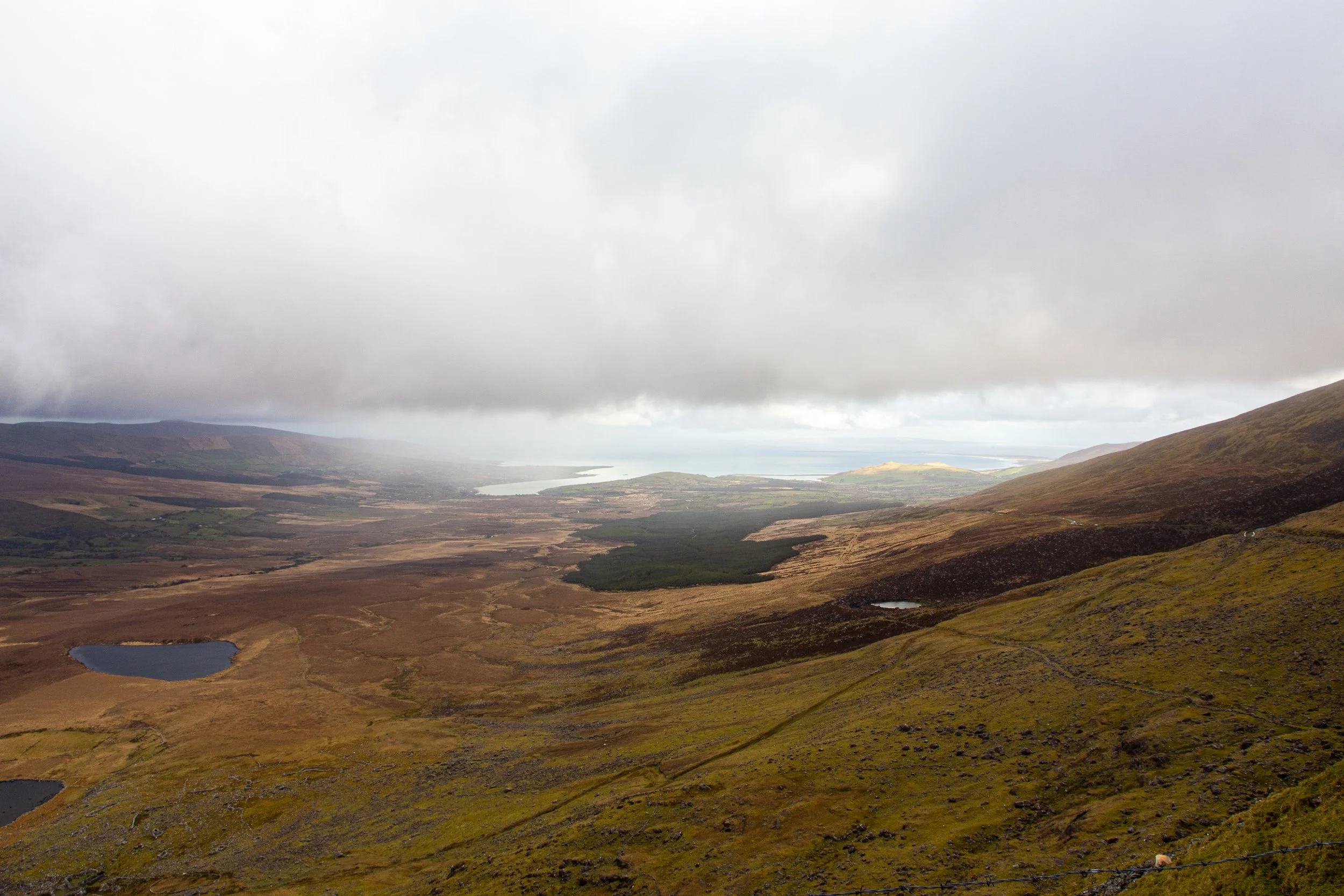 Ireland - Travel Photography-5.jpg