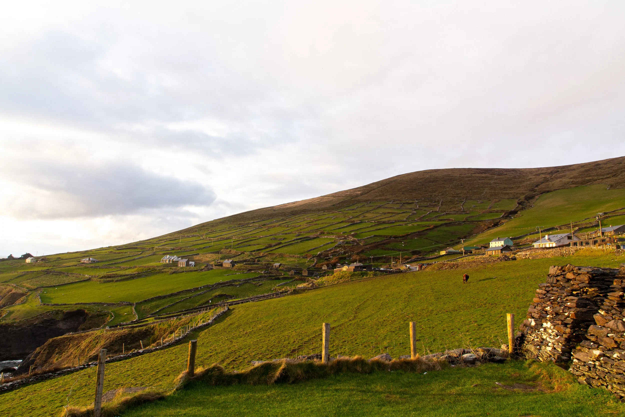 Ireland - Travel Photography-10.jpg