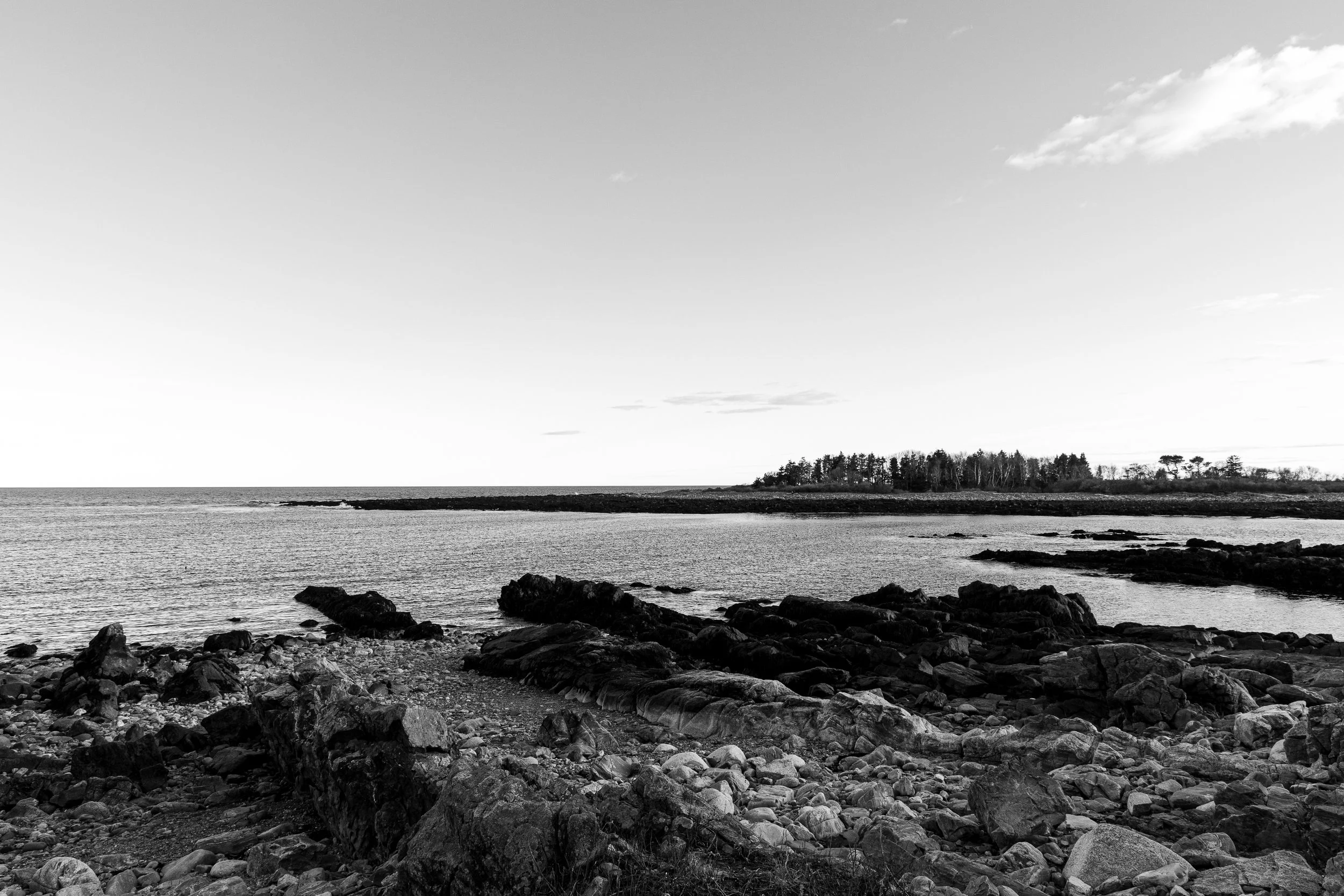 Timber Point Trail - Maine-4.jpg