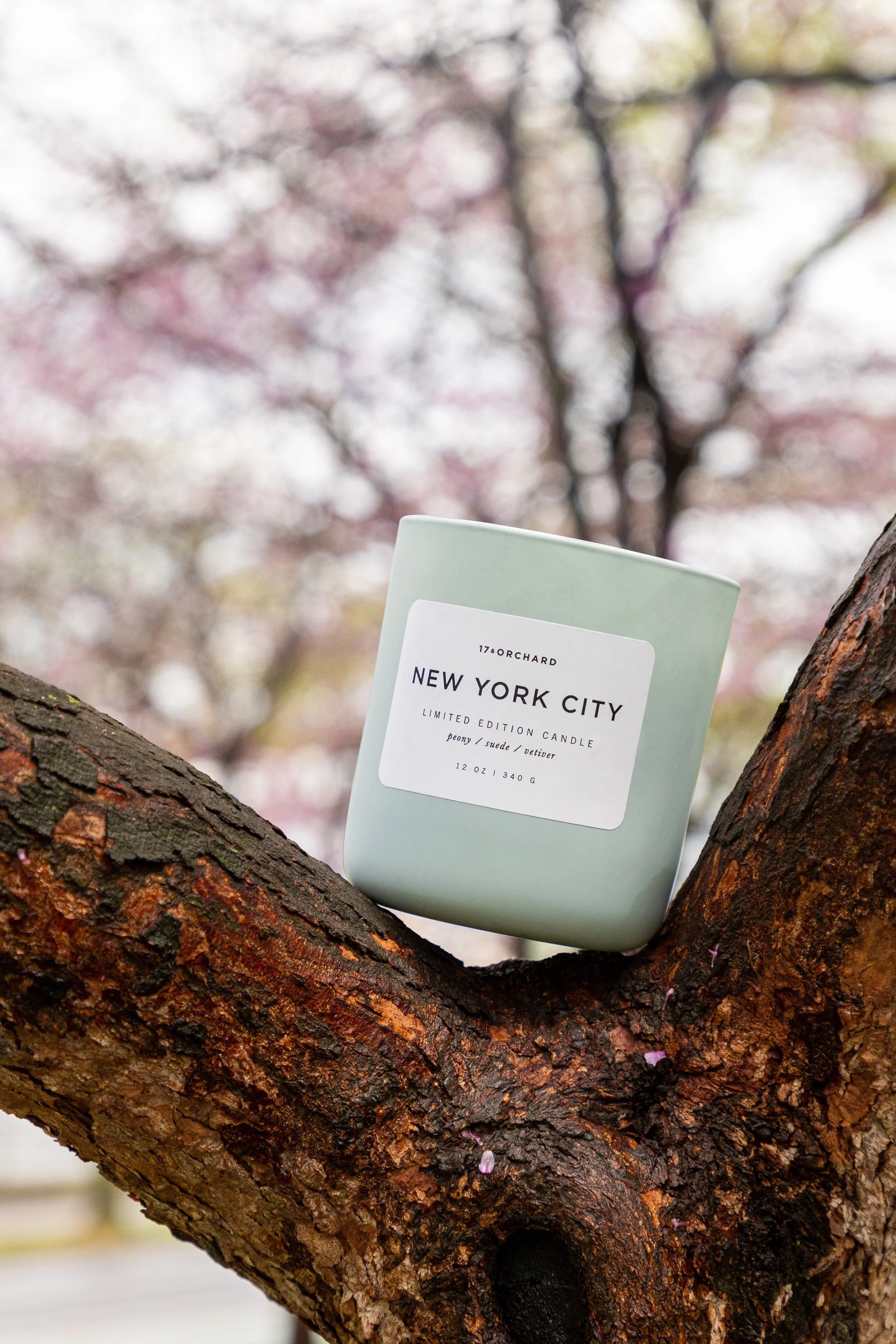 17 & Orchard Candles - Product Photography - 33.jpg
