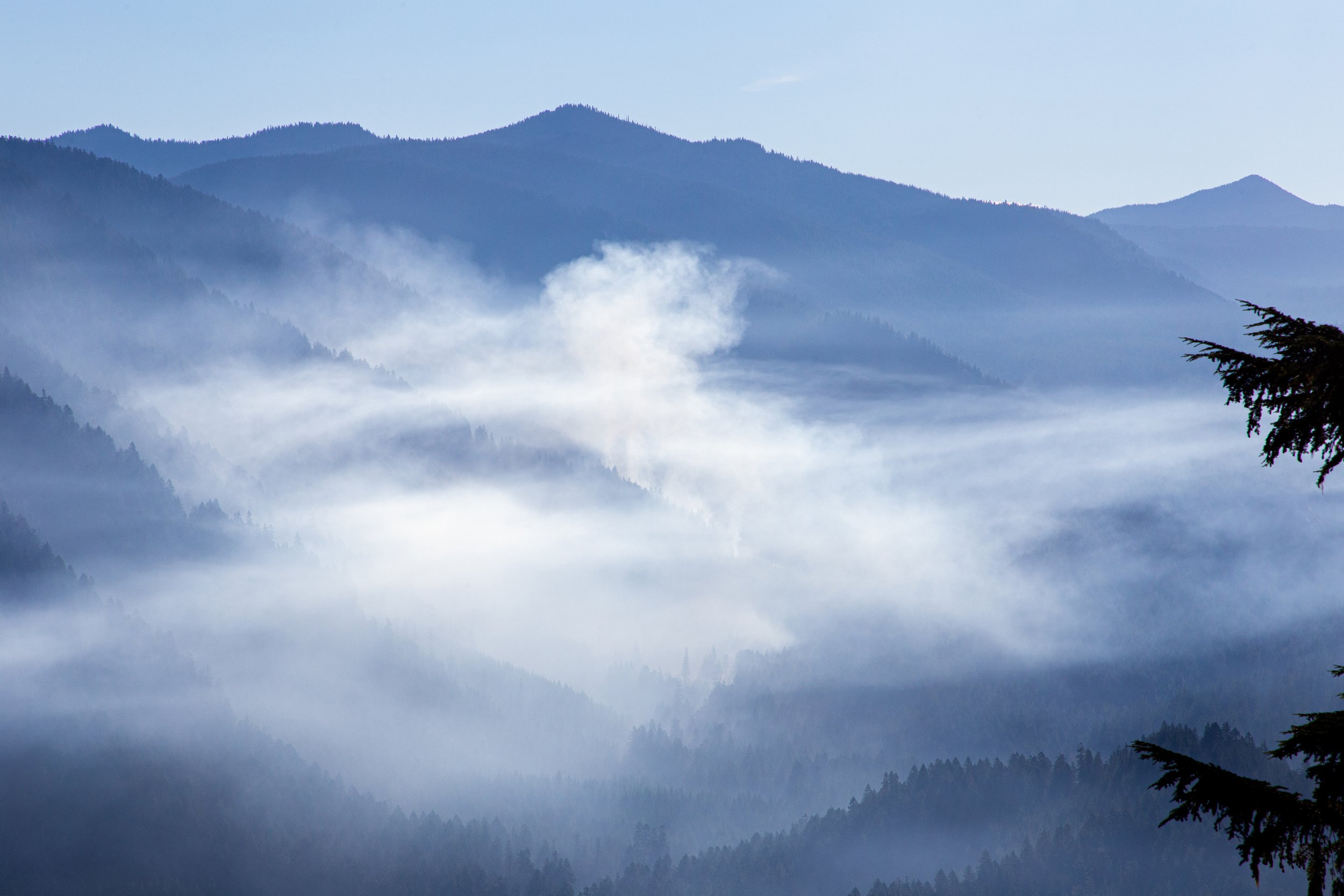 Mount Rainier - Blue Mountans.jpg