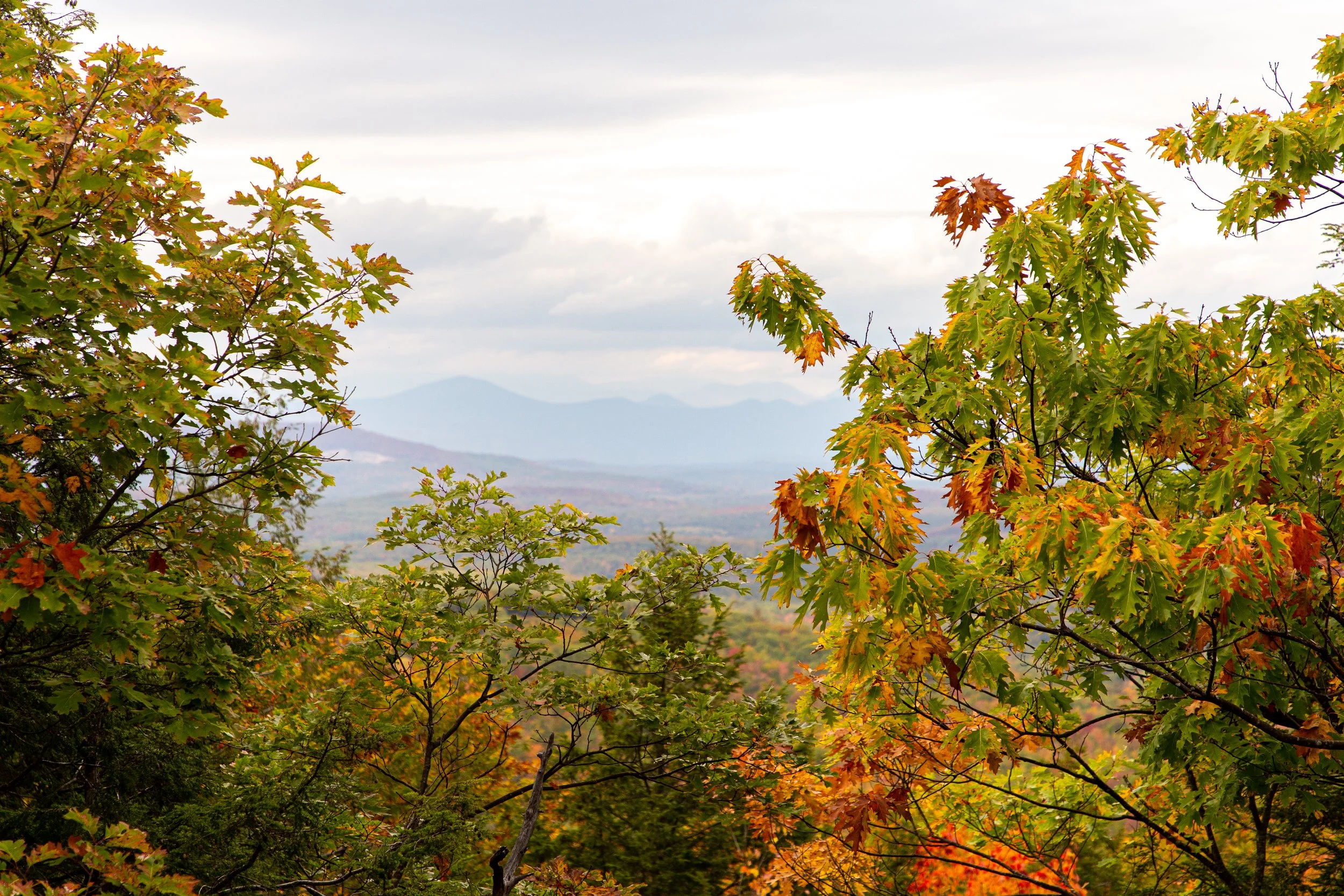 Fall in Maine - Nature Photography.jpg