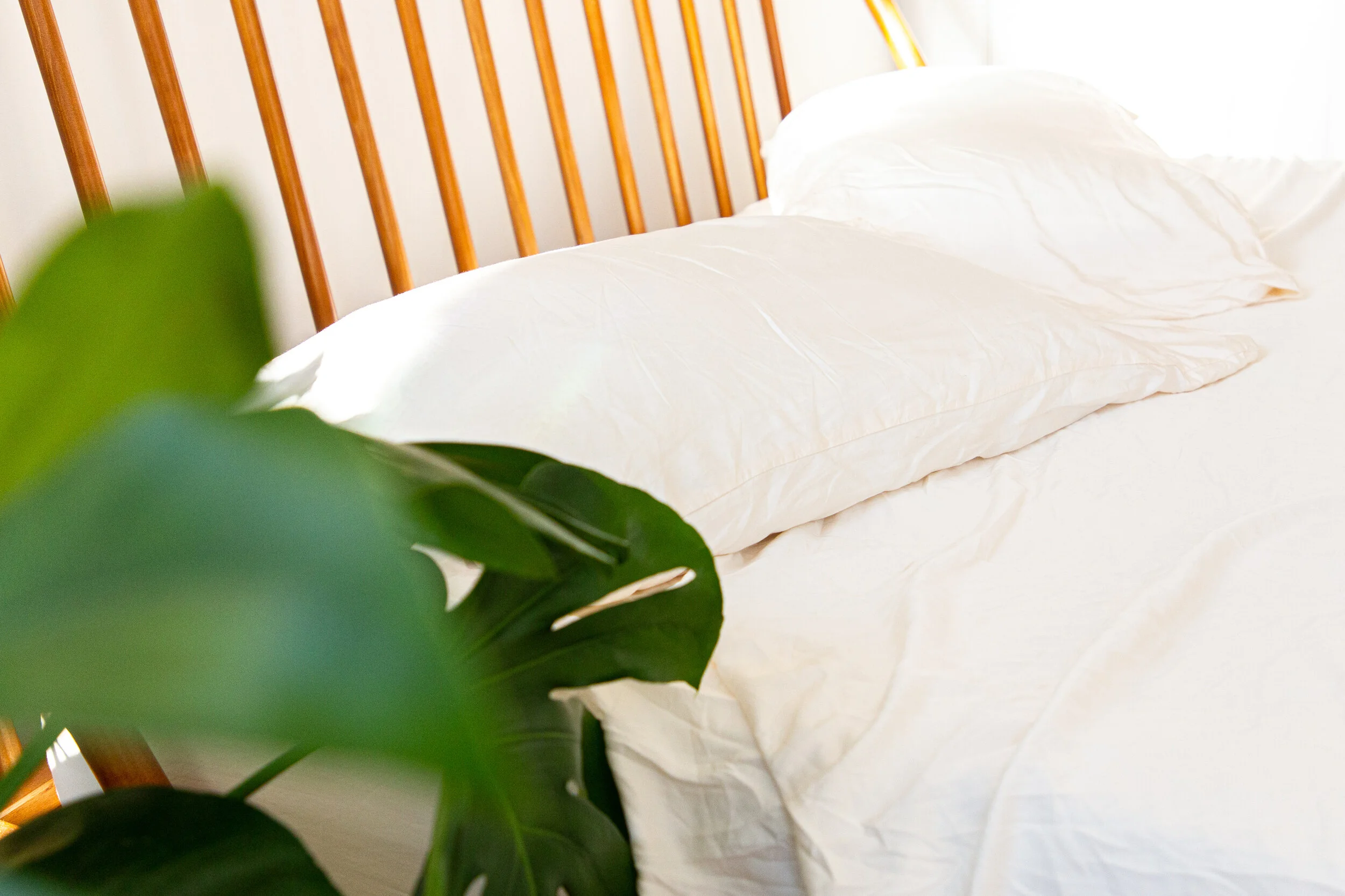 Bamboo is Better - Product Photography-5.jpg
