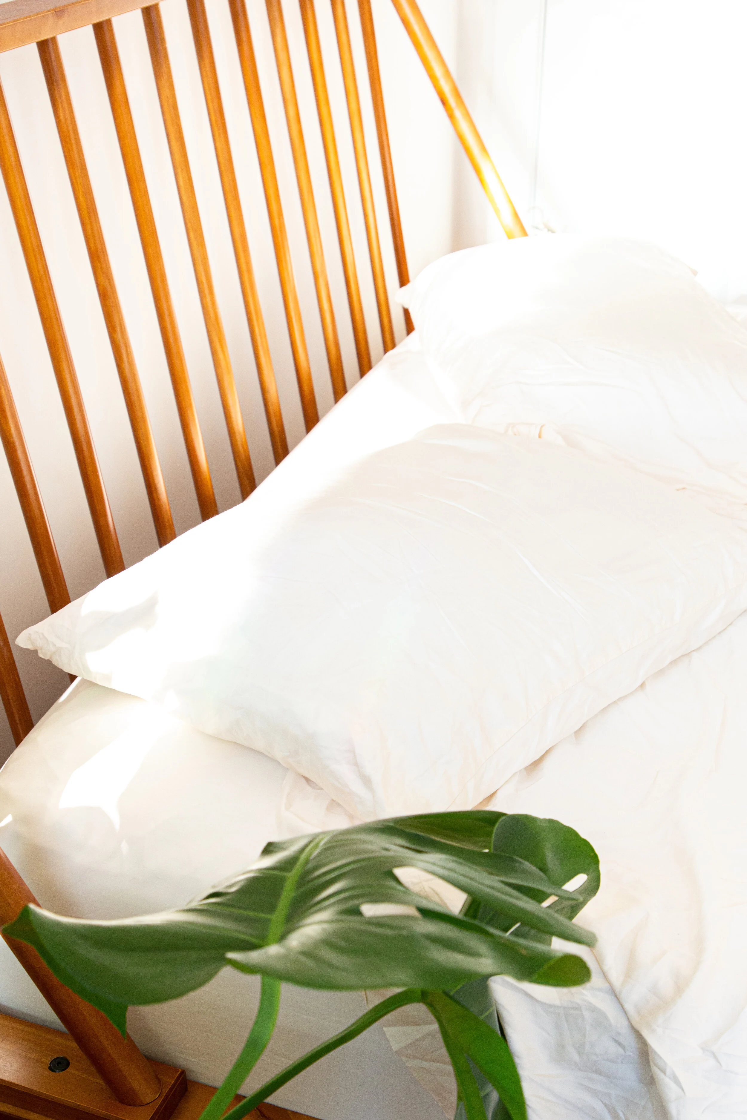 Bamboo is Better - Product Photography-4.jpg