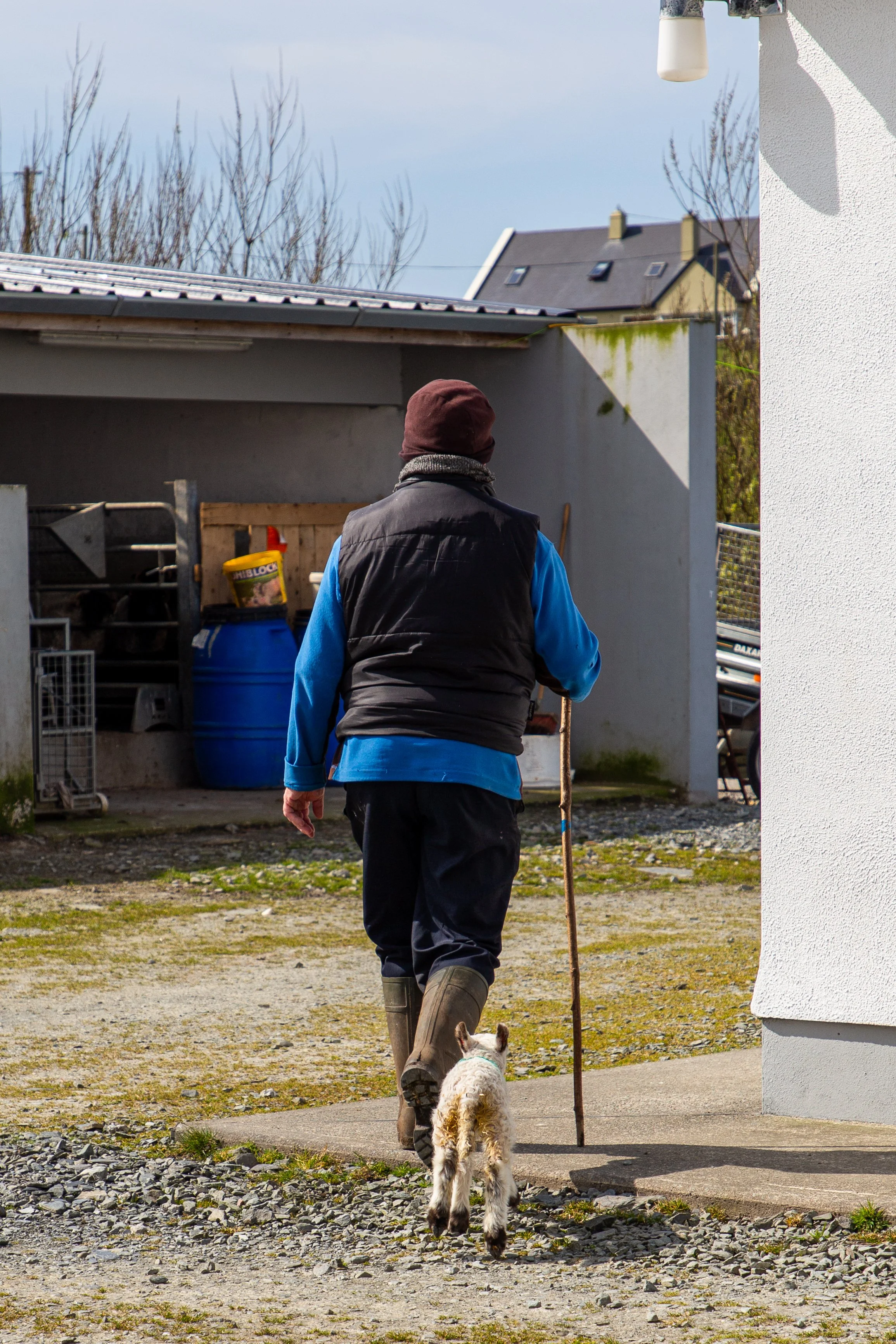 Ireland Street Photography - 2019-13.jpg