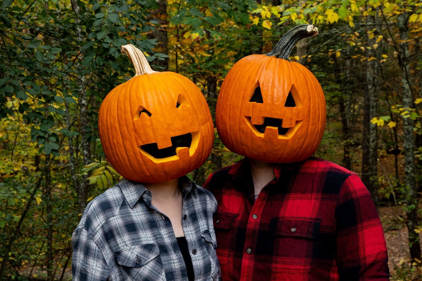 Happy Halloween! 🎃