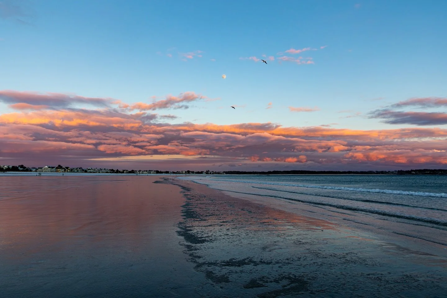 The sun may have slept in this morning for the first sunrise of the year but it was bright eyed for sunset and brought the moon along with it. So much magic in one day. I love this year already.