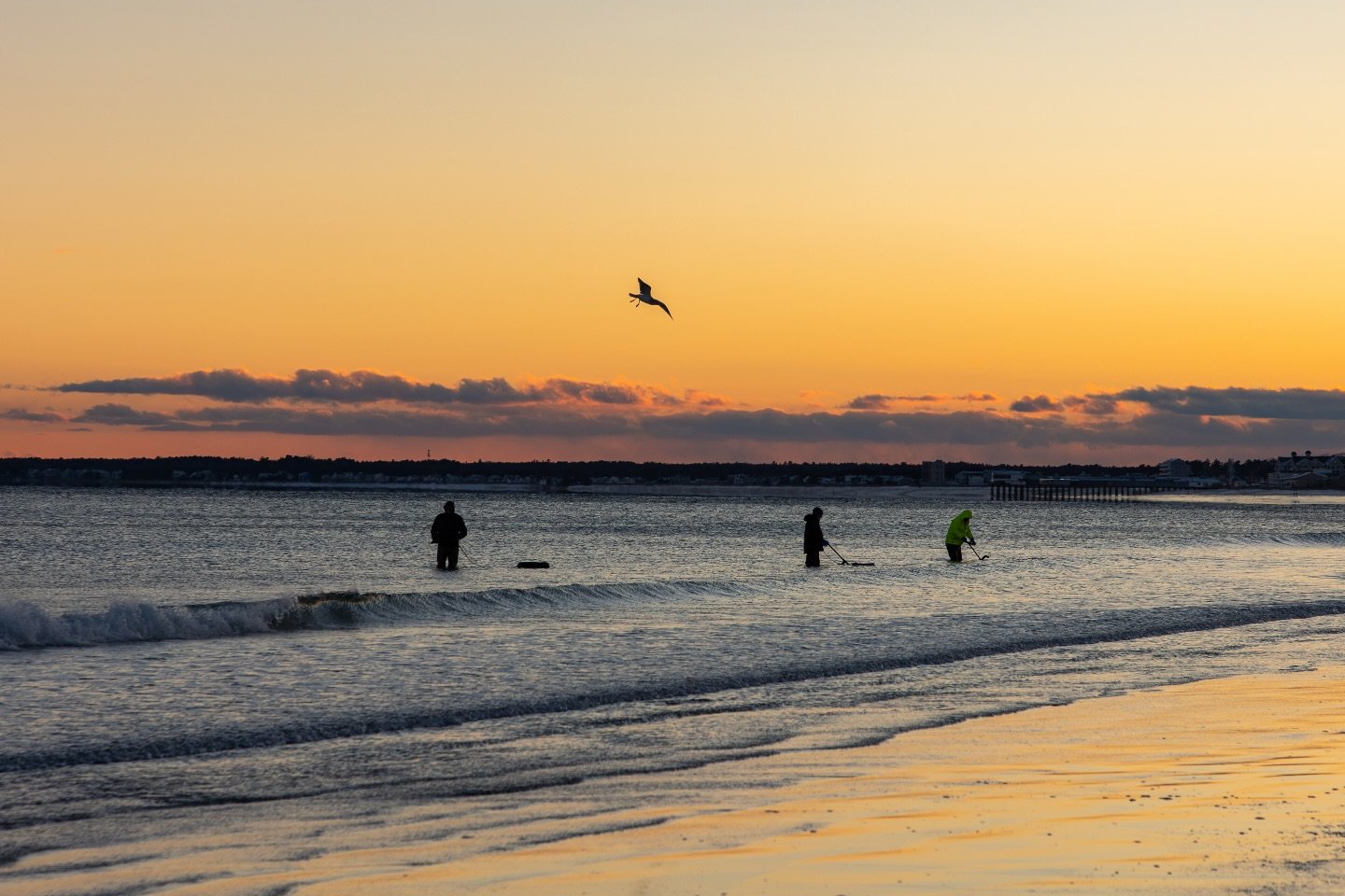 Clam Diggers, taken on New Year&rsquo;s Day