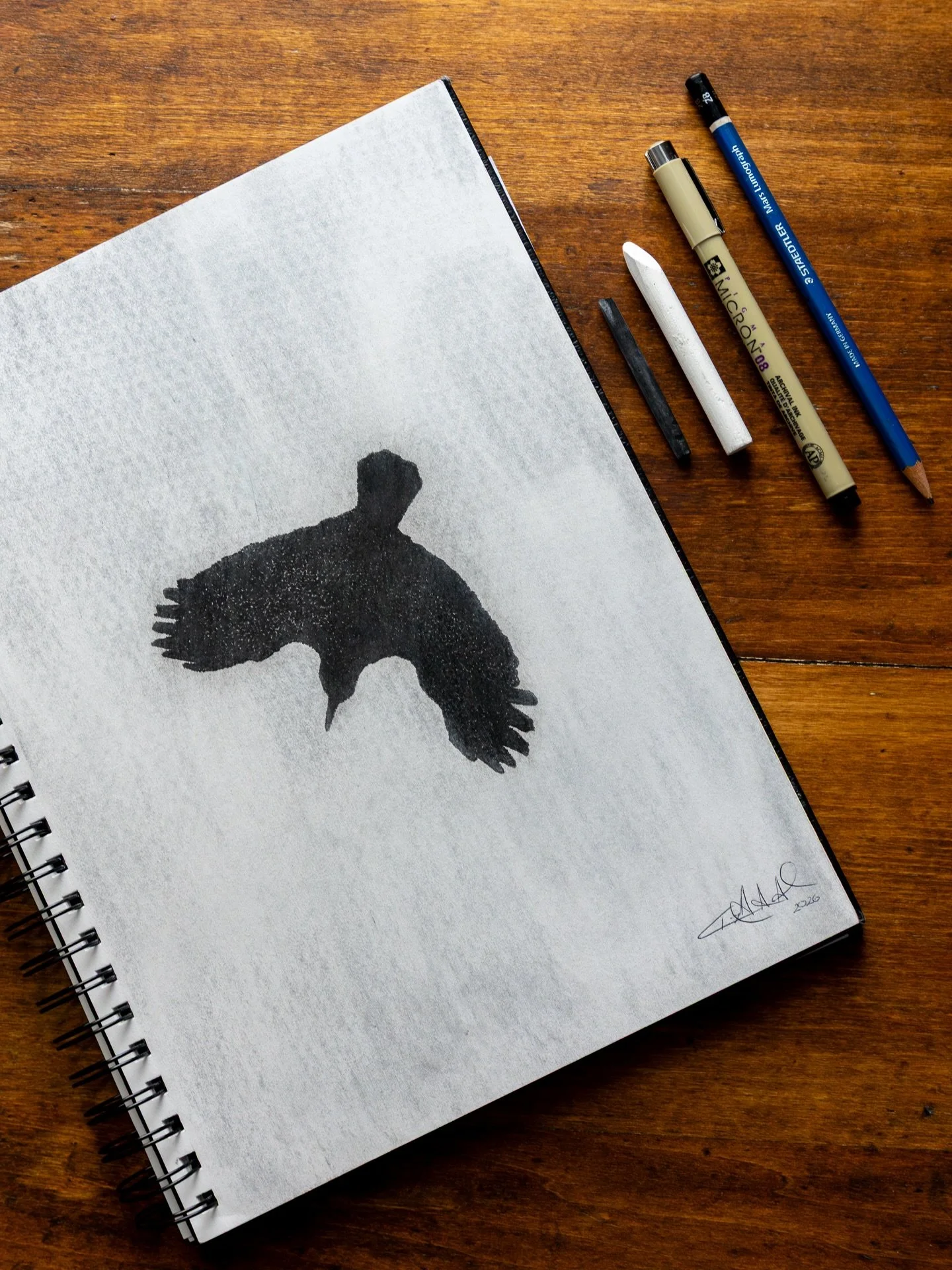 When I first posted the photo in the next slide, my sister thought it was a painting. When I told her it was a photograph, she was quite surprised. This inspired me to draw it. I used stippling (small dots) to create the crow, while mimicking the ide