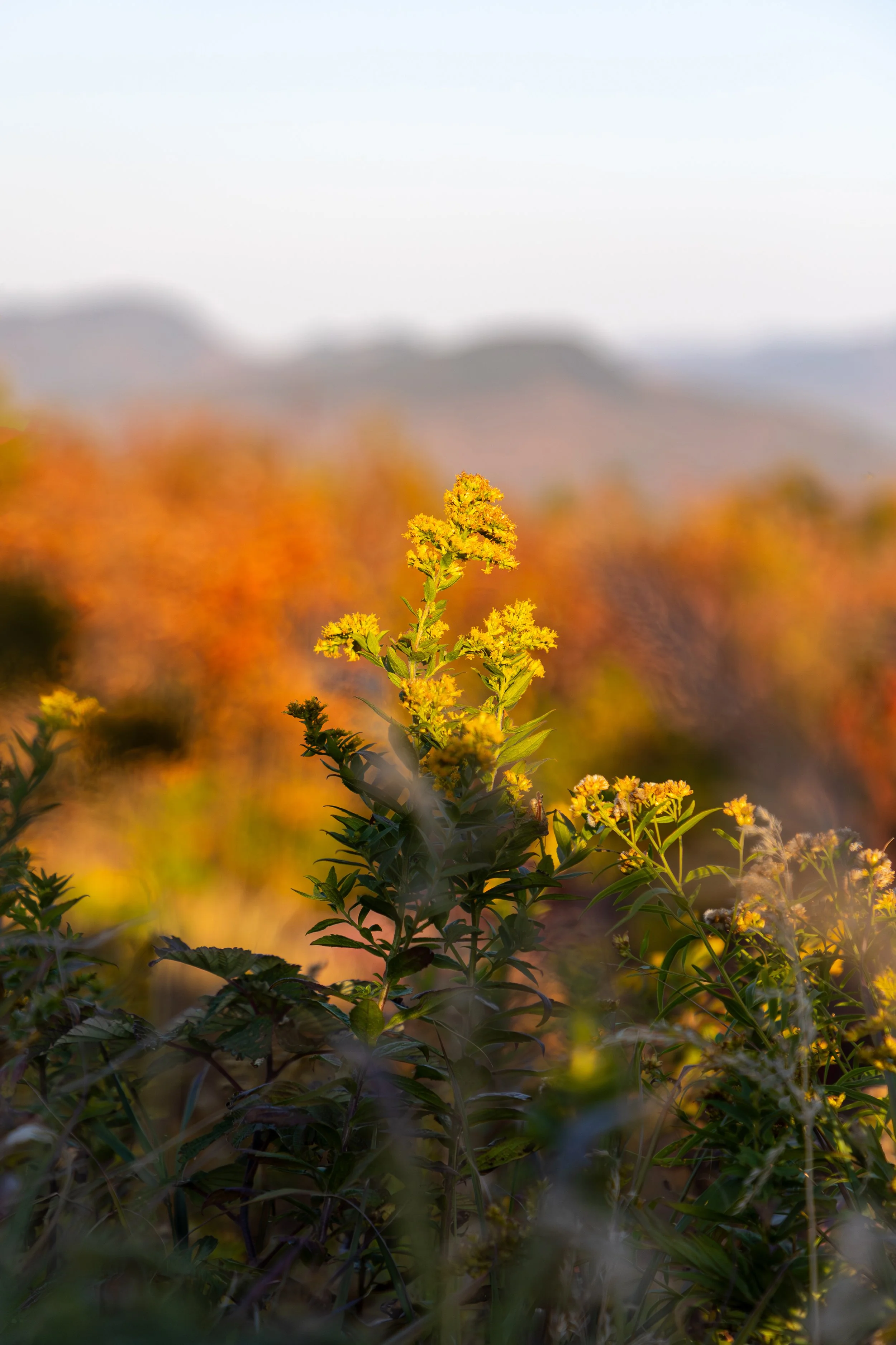 Kancamagus Highway - New Hampshire-4.jpg