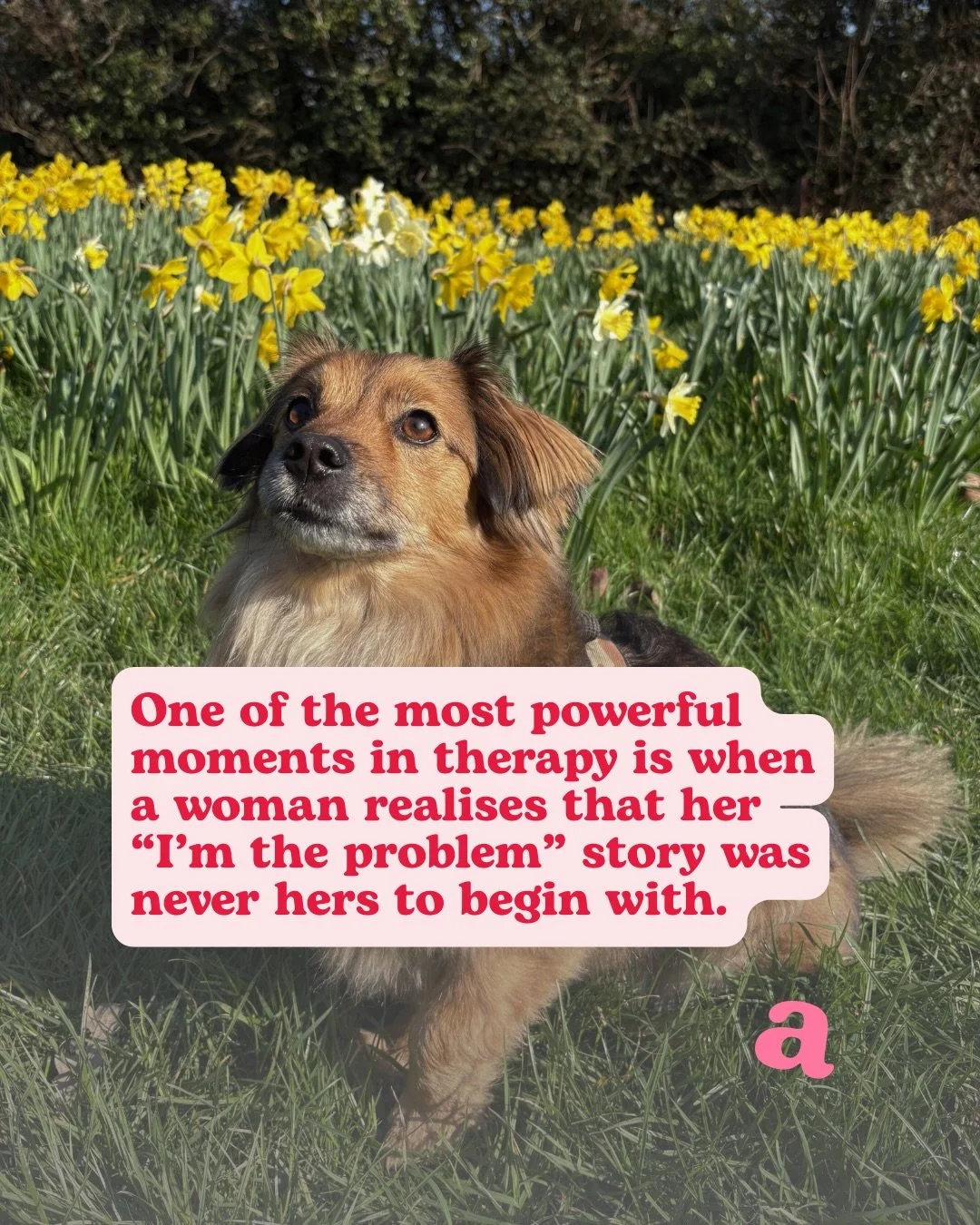 The &ldquo;I&rsquo;m the problem&rdquo; narrative is one of the most common things I hear from women in therapy. And almost without exception, it isn&rsquo;t true 💁🏻&zwj;♀️

What is true is that somewhere along the way, you learned that changing pa