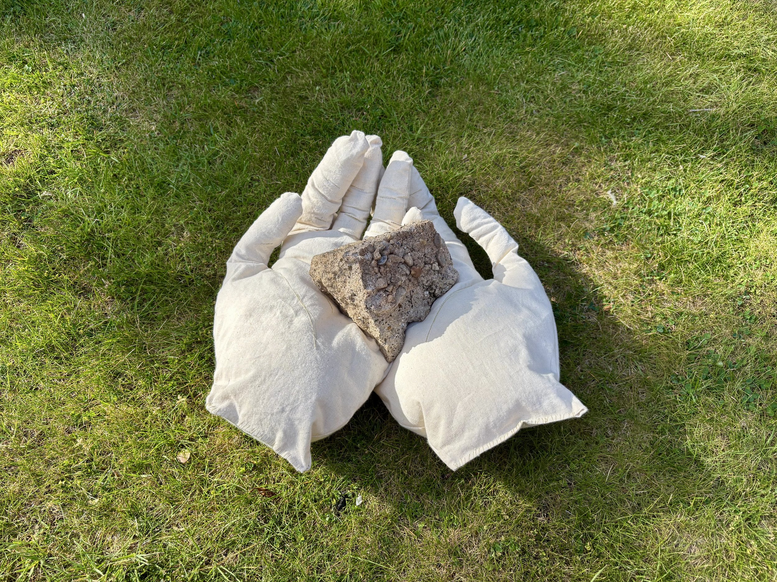 A person wearing white gloves holding a rock with dirt and small stones on it, on a grassy field.