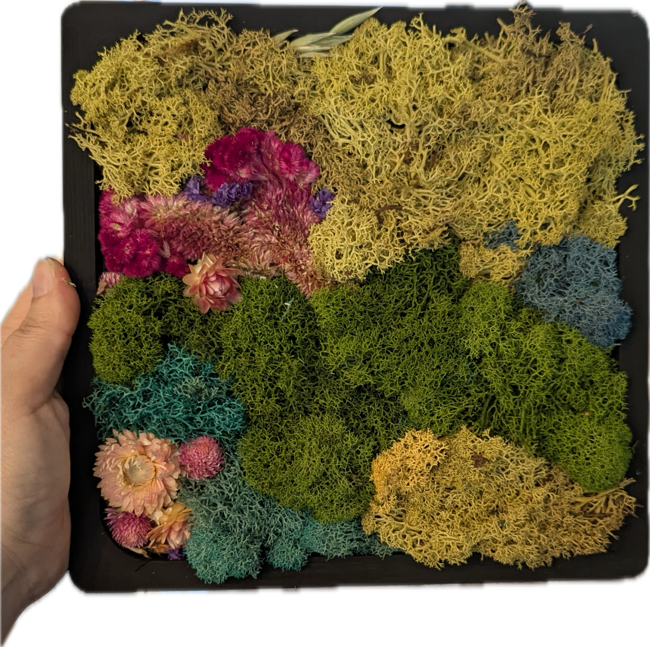 Moss Art Workshop