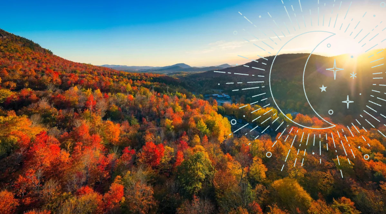 A Season in Words: Writing Your Way into Fall