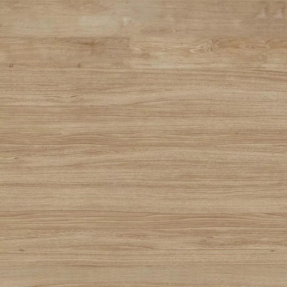 41-yLJTslrL._AC_SY741_ - Copy.jpg