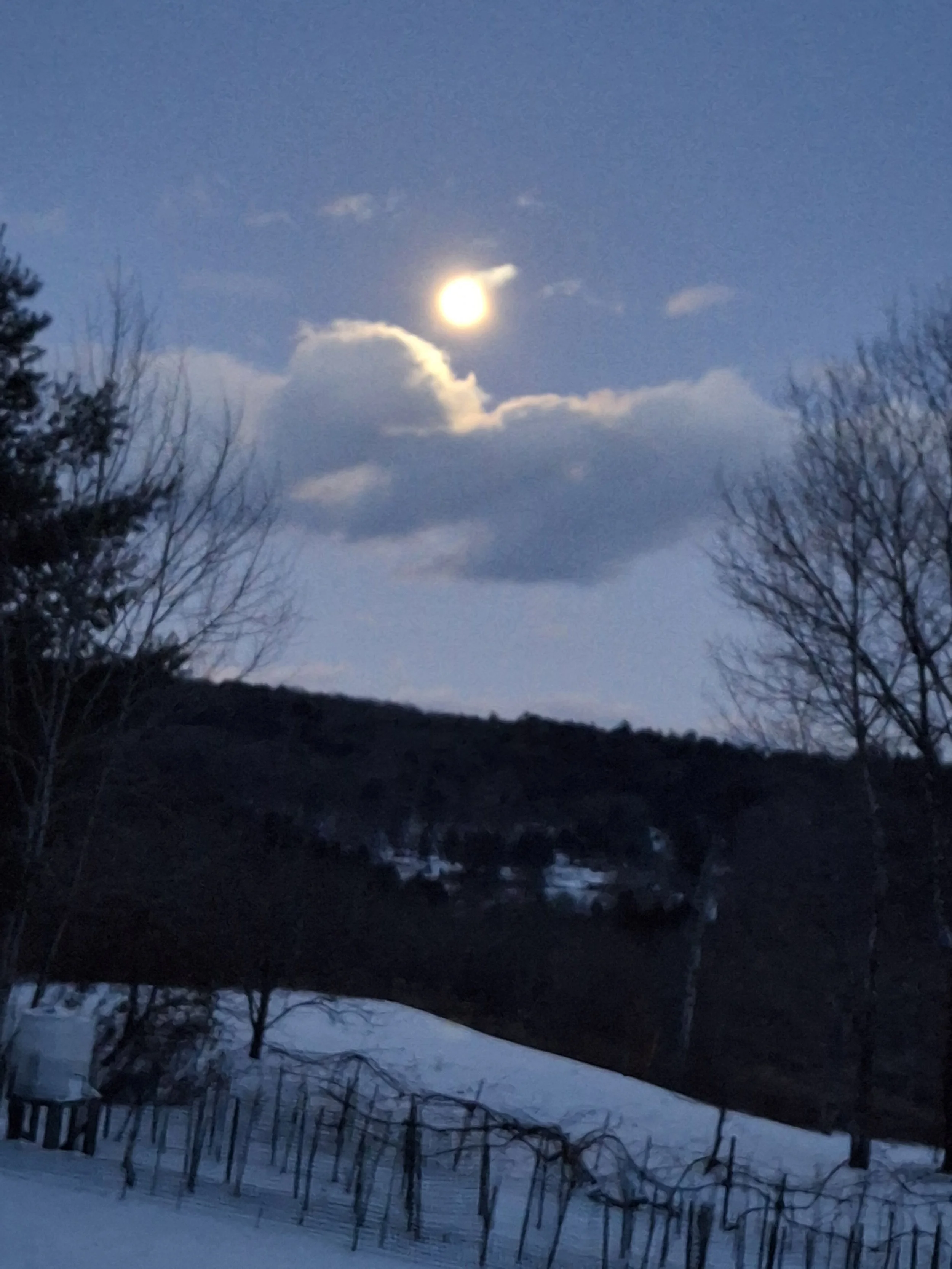 Blessings through the pain