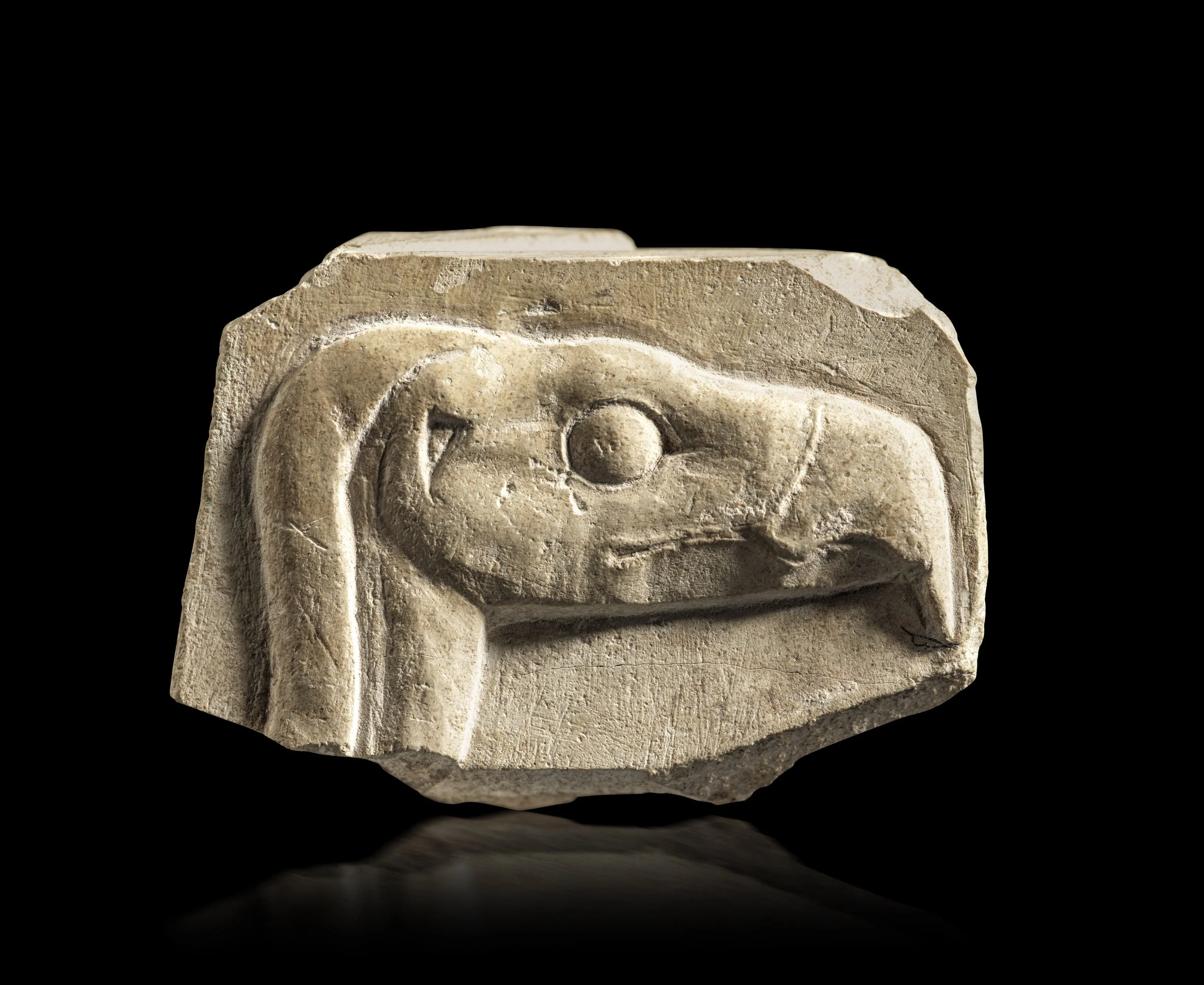 An Egyptian limestone relief fragment of a vulture