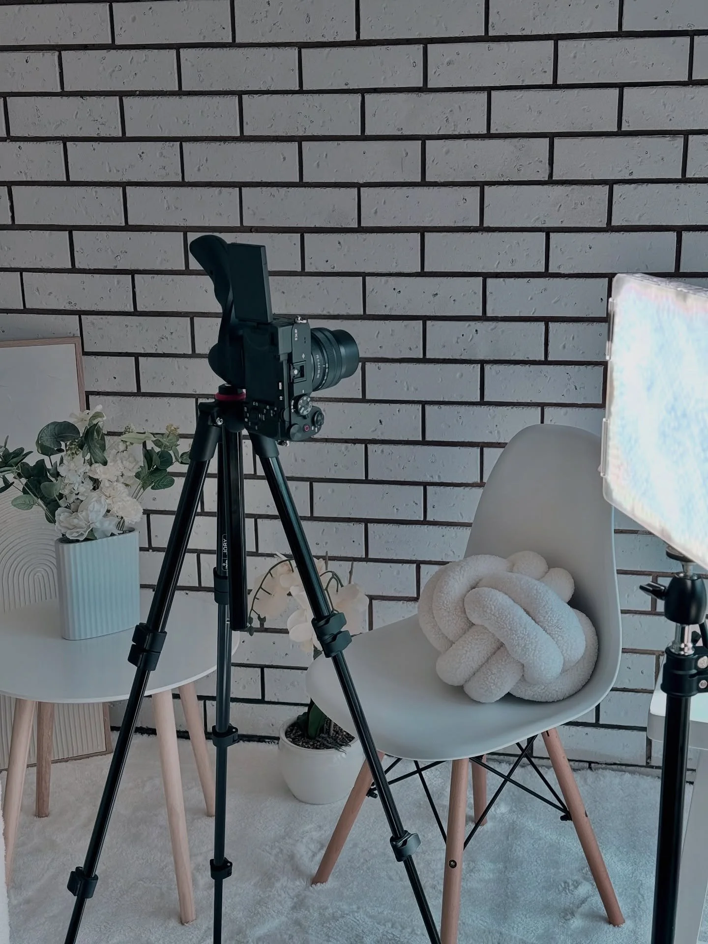 Natural light, minimal lines, and room to create something beautiful

&bull;
&bull;
&bull;
&bull;
&bull;
&bull;

#northlightstudio #contentcreator #studio #photography #contentstudio #marketing #videostudio #events #space #melbourne #melbournestudio 