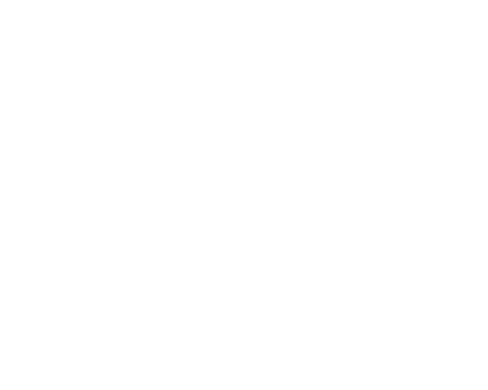 Logo avec le texte 'plein soleil' en lettres blanches sur fond noir, comprenant des éléments de fleurs dans certaines lettres.