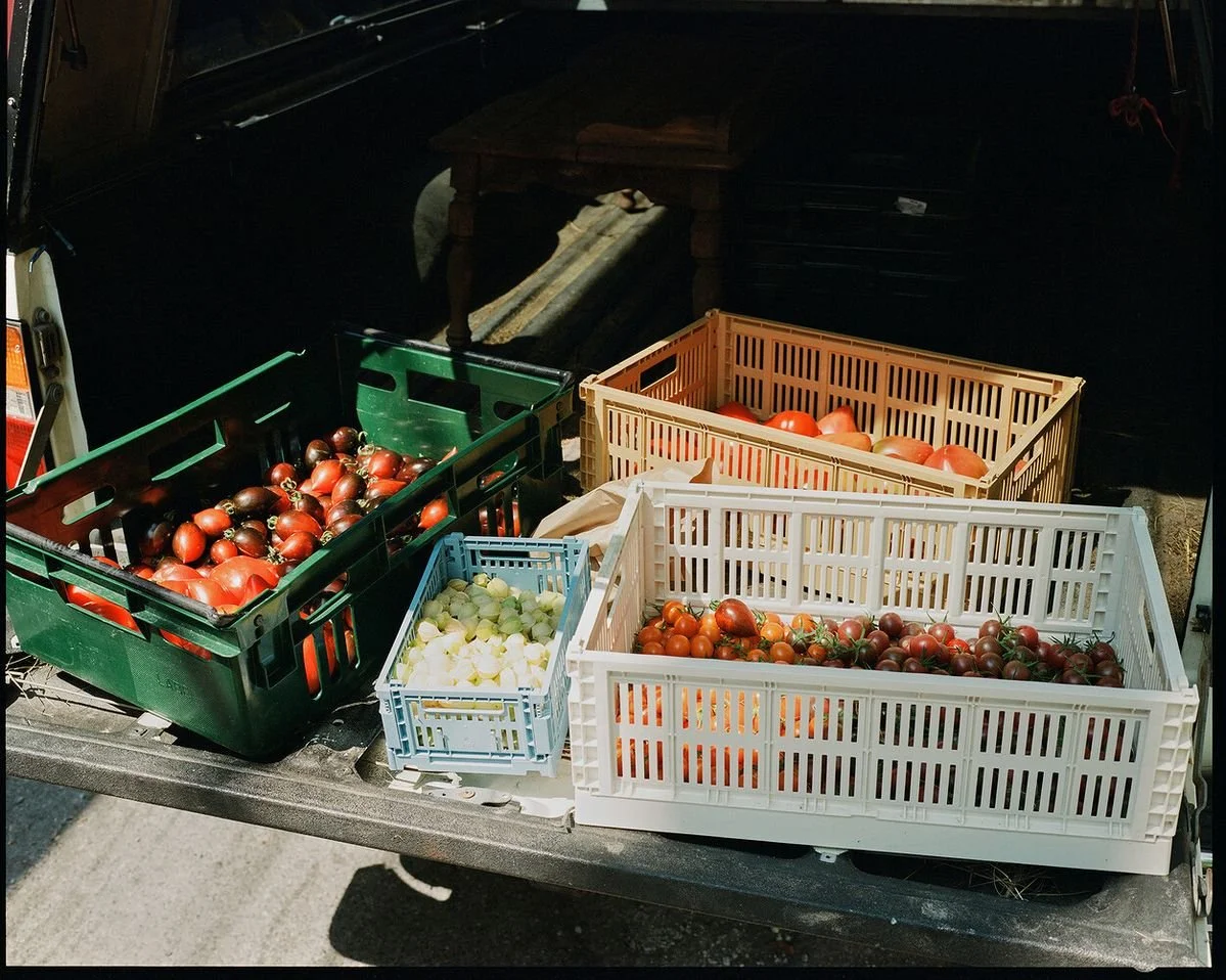Caisses de tomates, d'oignons et de prunes dans la caisse d’une voiture