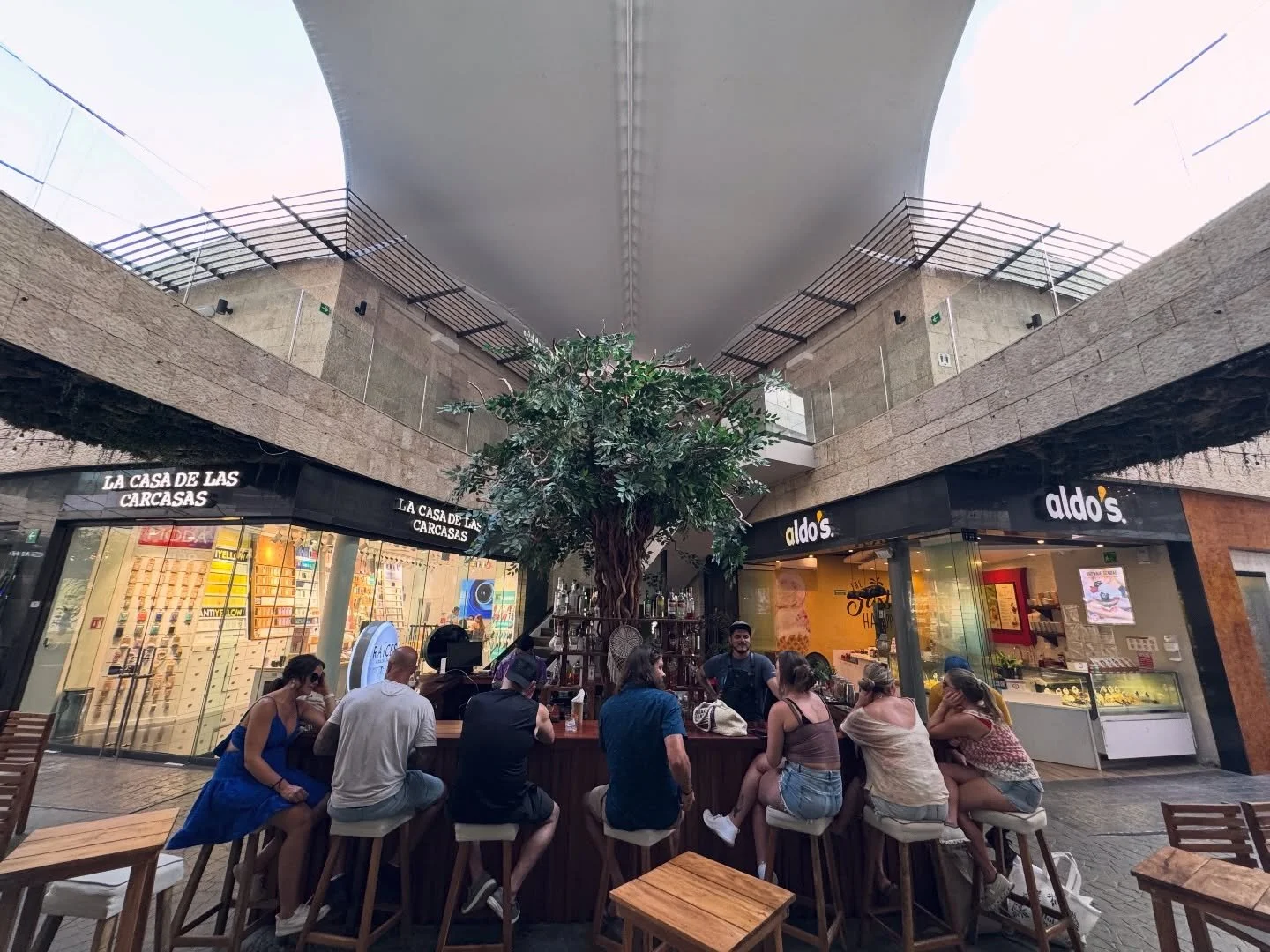 &iquest;Un break del shopping o el punto de encuentro perfecto? 🌴✨ 
En el coraz&oacute;n de la Quinta, bajo la sombra de nuestro &aacute;rbol, el tiempo se detiene.
Ven a Ra&iacute;ces por la mixolog&iacute;a que rinde tributo a nuestra tierra y qu&