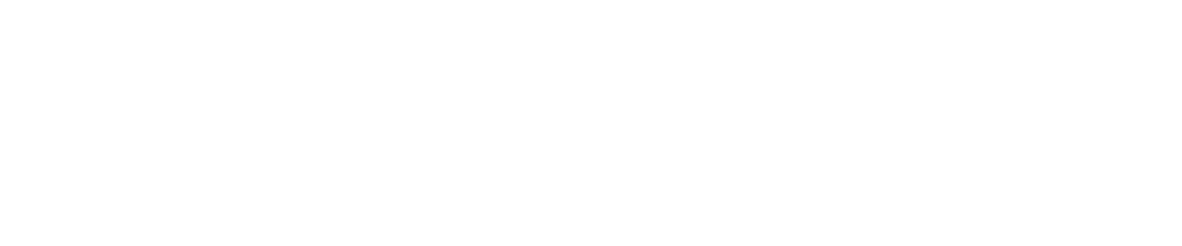 VizionR Consultation